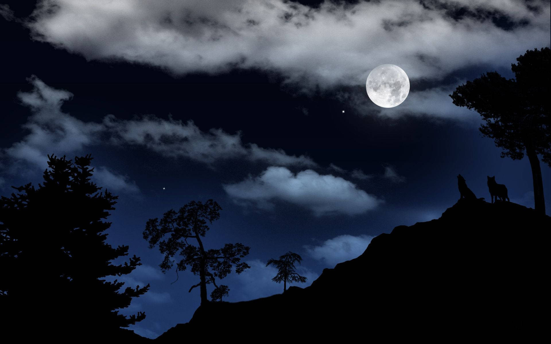 Dark Night, howling wolves, full moon, Full HD Desktop Wallpaper