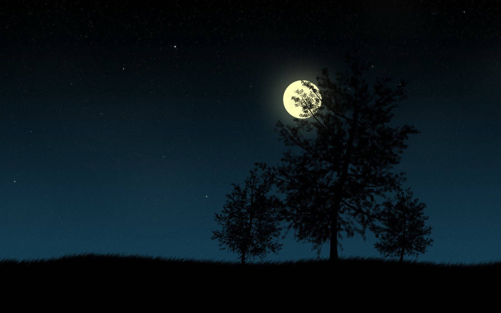 Dark Night, tree, moon, HD Desktop Wallpaper