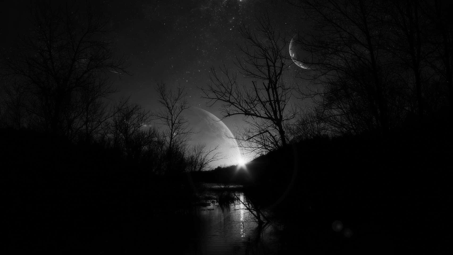 Dark Depressing, night, bare trees, Full HD Desktop Wallpaper