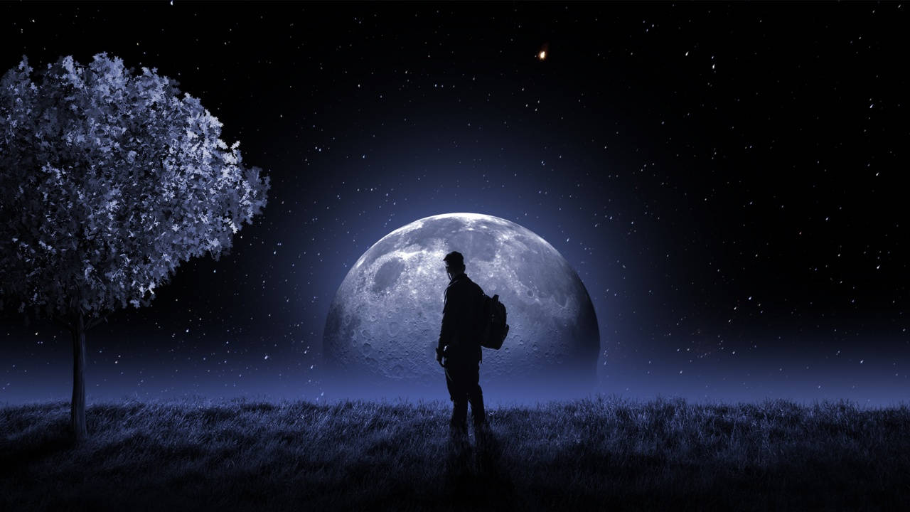 Dark Full Moon PC, giant moonlit sky, glowing tree, HD Desktop Wallpaper