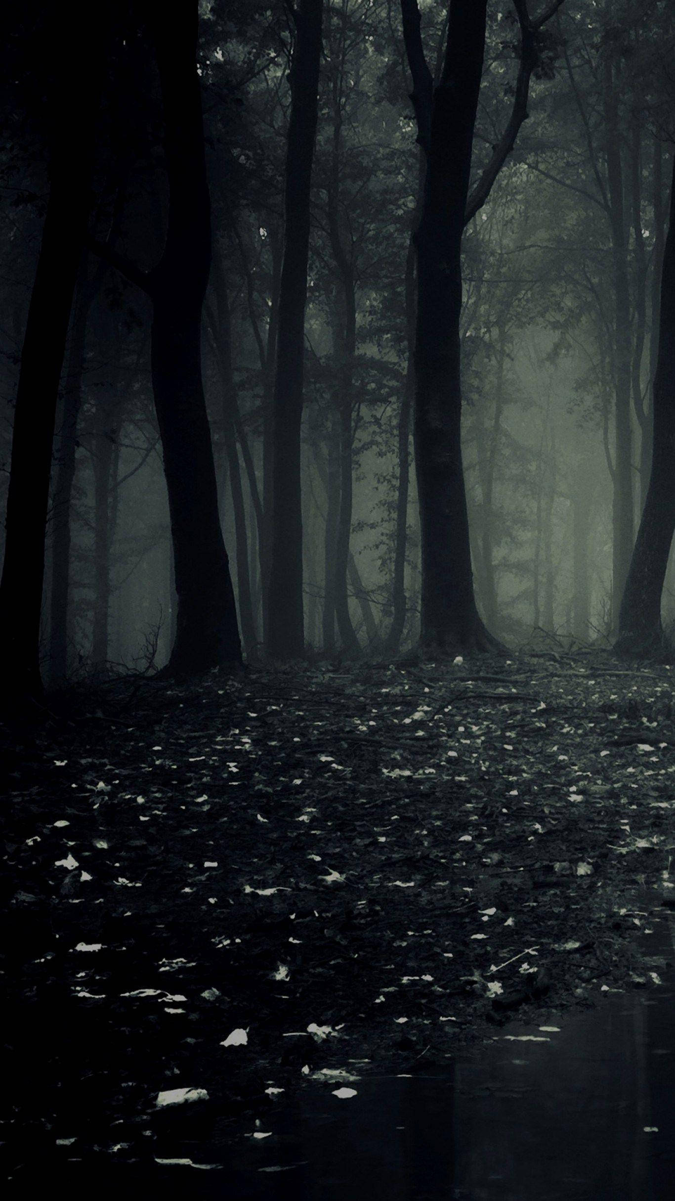 Dark Phone, scary woods, misty forest path, Full HD Phone Wallpaper
