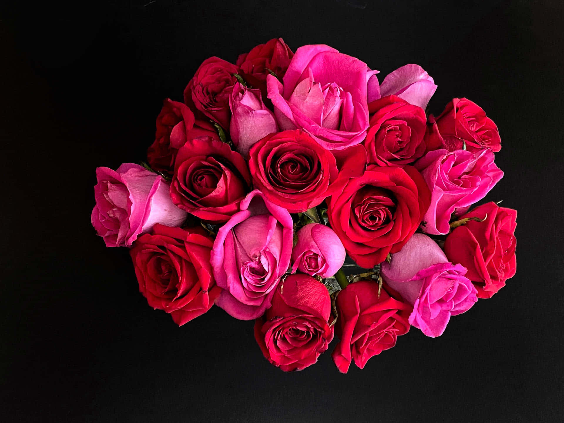 Dark Pink Roses, vibrant bouquet, red and pink roses, Full HD Desktop Wallpaper