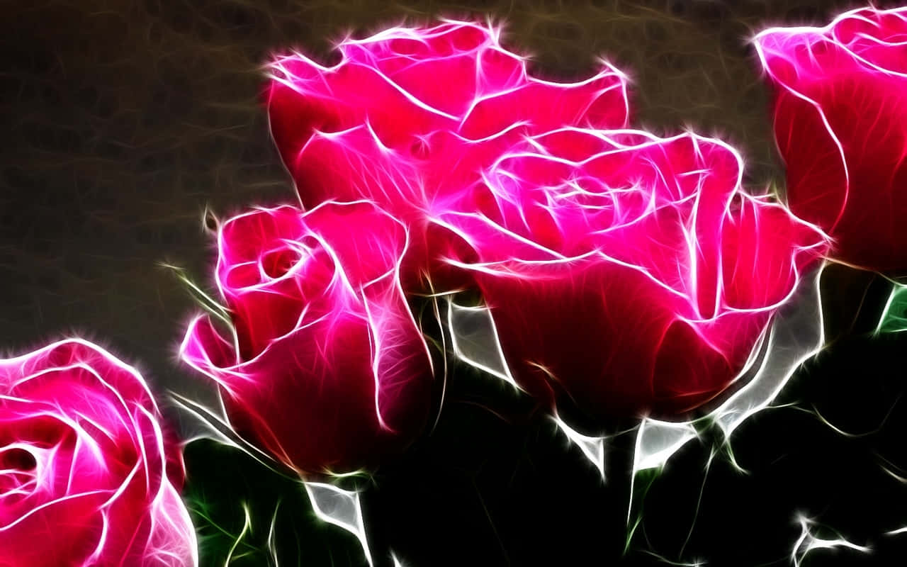 glowing dark pink roses, electric white outlines, dark textured background, HD Desktop Wallpaper