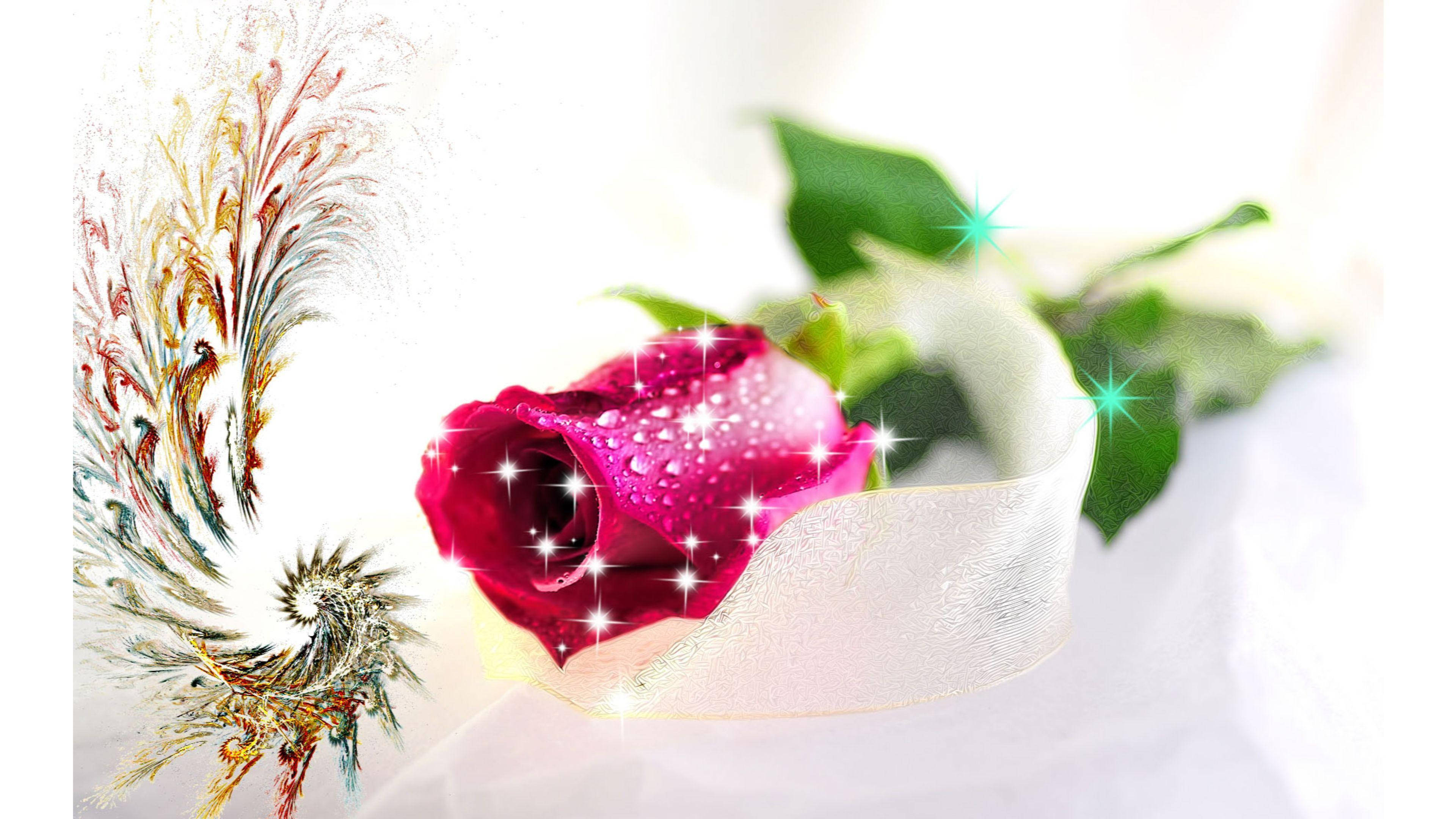 Sparkly Pink Love Rose, vibrant pink rose, dewdrops, 4K Desktop Wallpaper