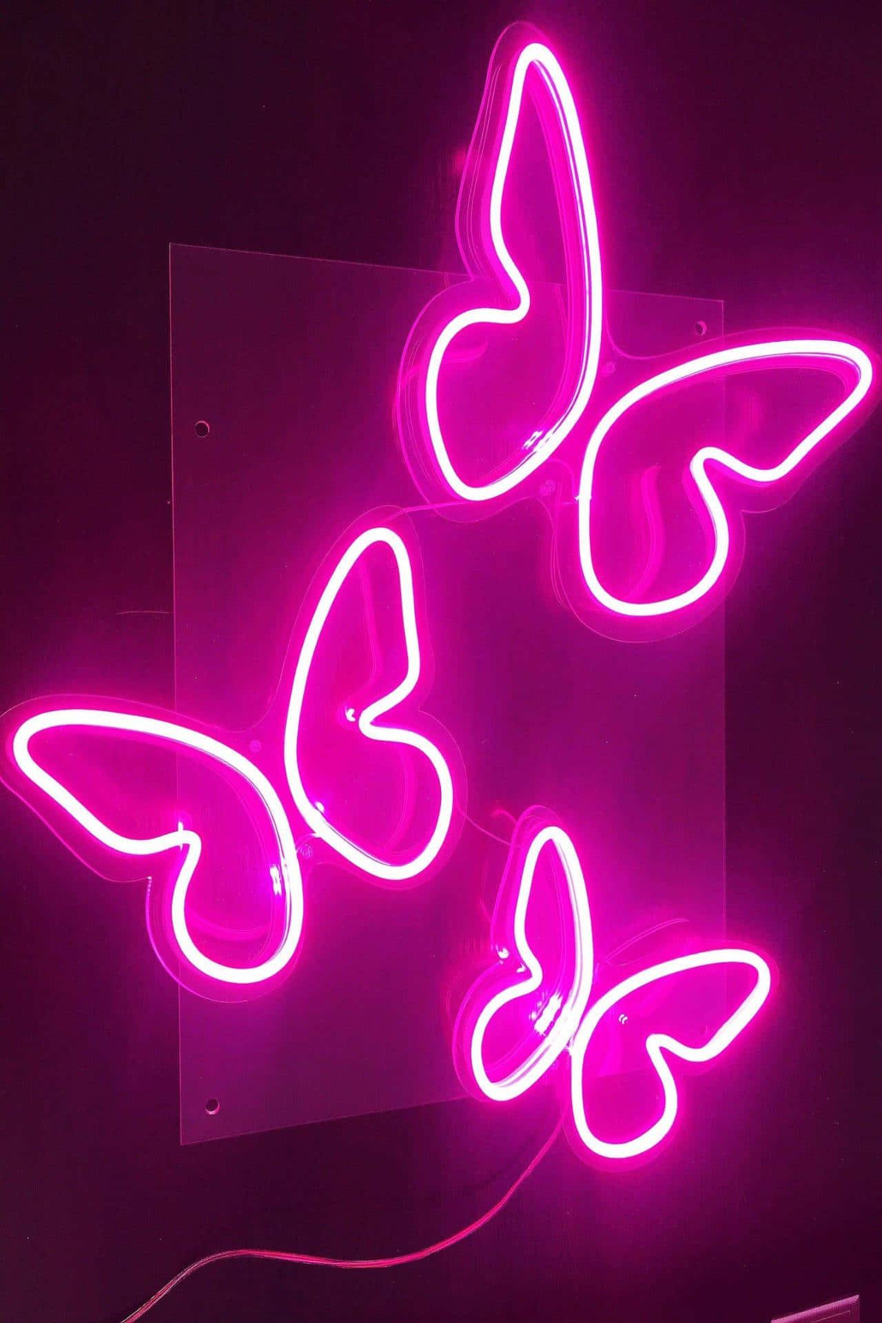 dark pink, neon butterflies, dark wall, Full HD Phone Wallpaper