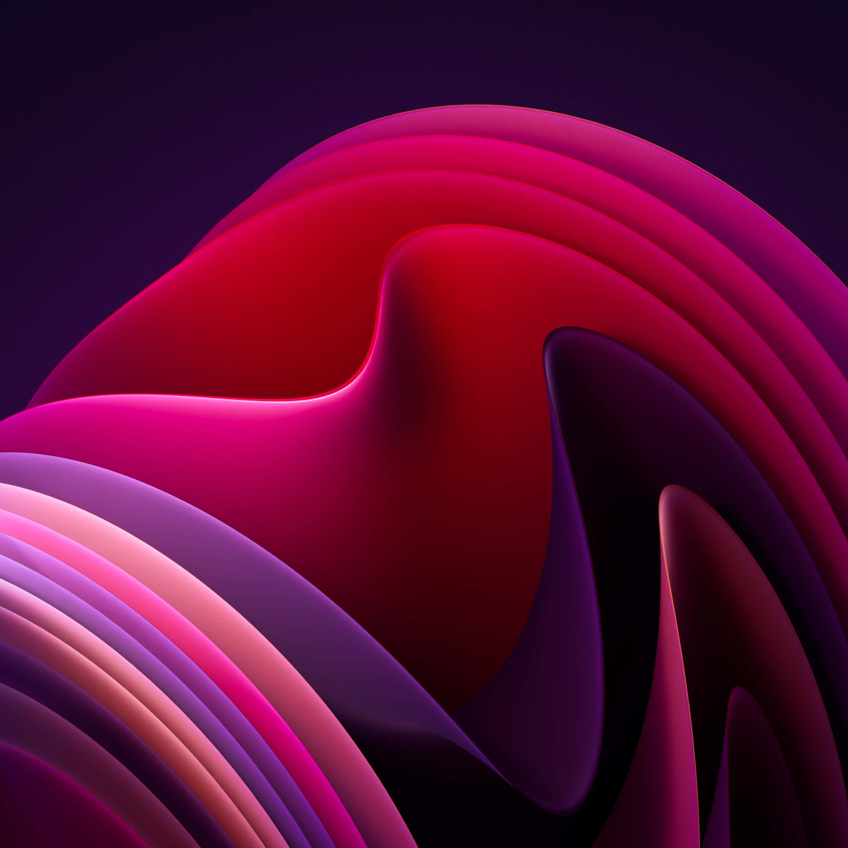 Dark Pink, magenta, crimson, 2K Desktop Wallpaper