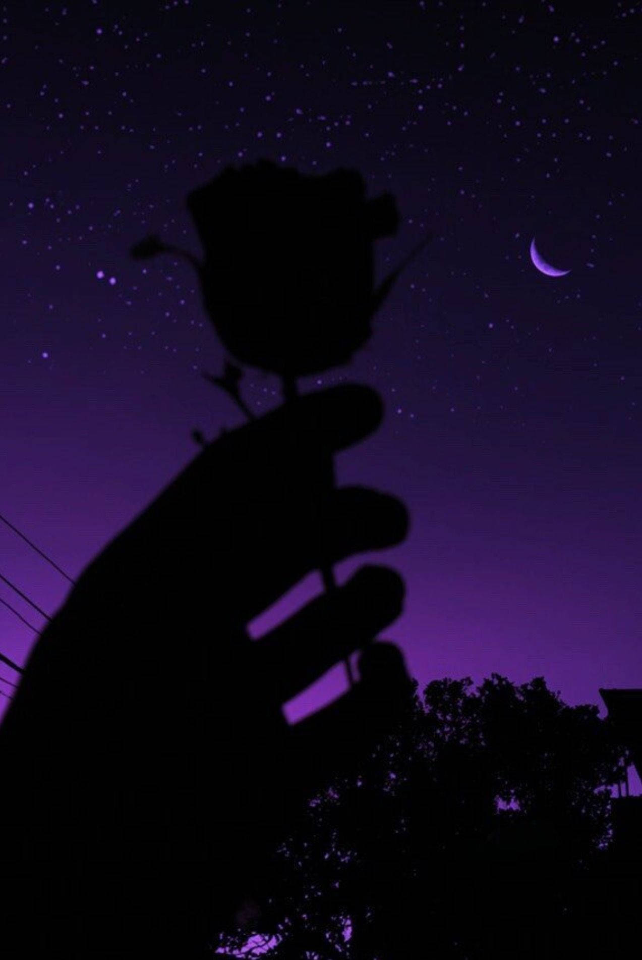 rose silhouette, starry purple night sky, crescent moon, HD Phone Wallpaper
