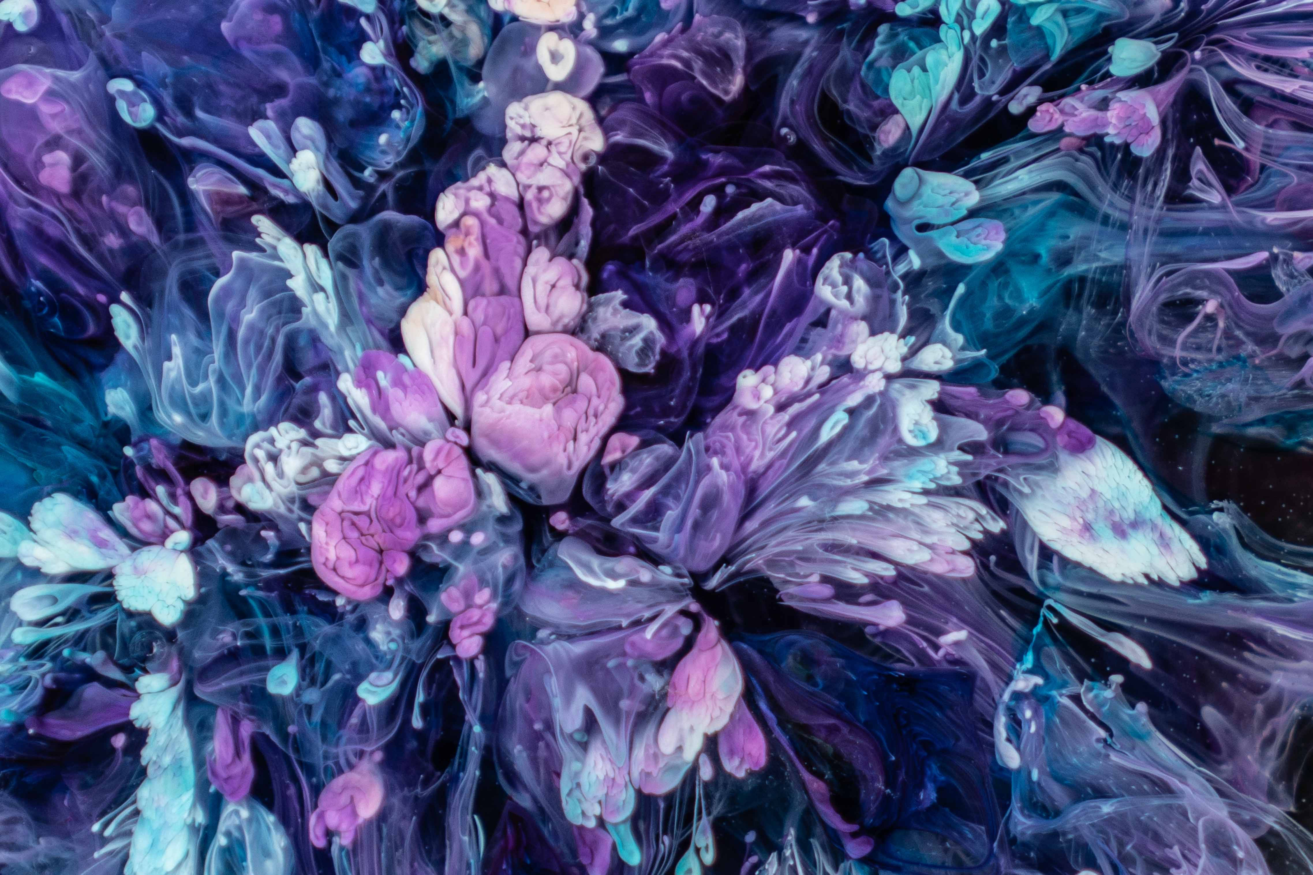purple, blue flowers, black background, 4K Desktop Wallpaper