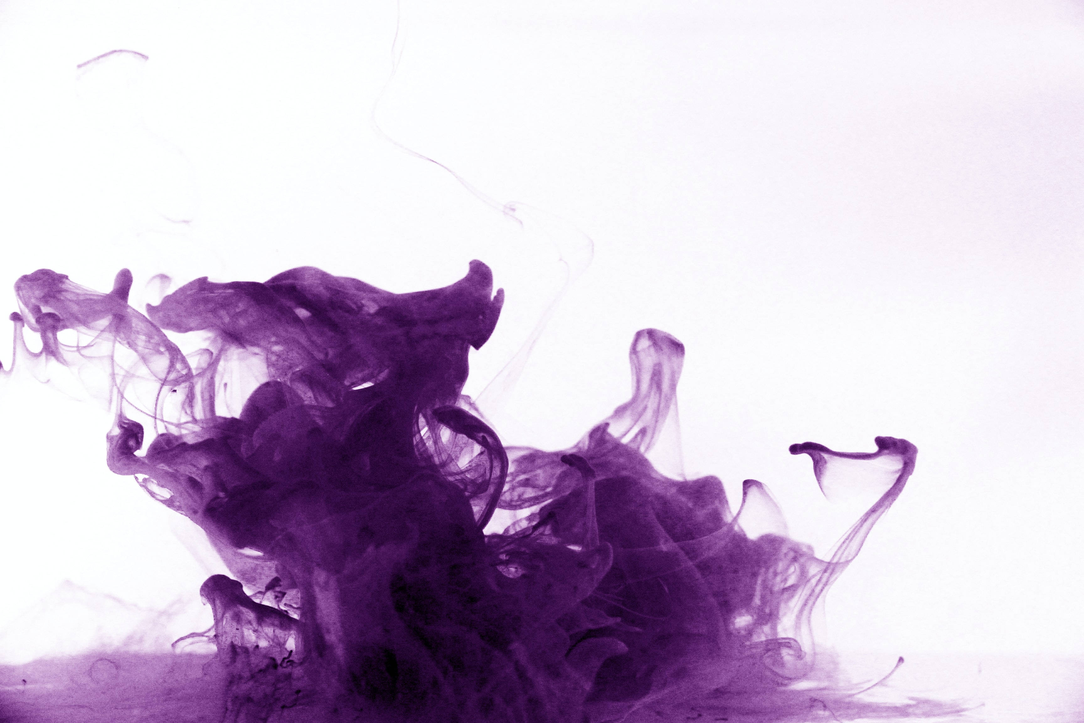 Dark Purple Desktop, vivid purple ink, fluid abstract motion, 2K Desktop Wallpaper