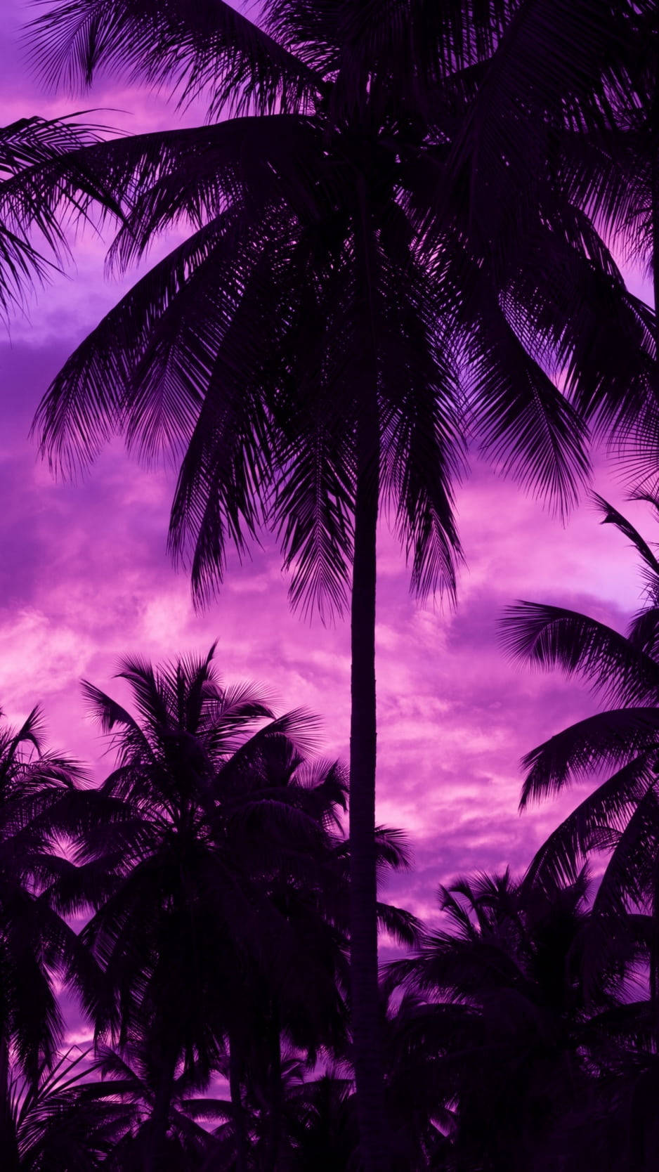 Palm Trees, Dark Purple, Twilight Sky, HD Phone Wallpaper