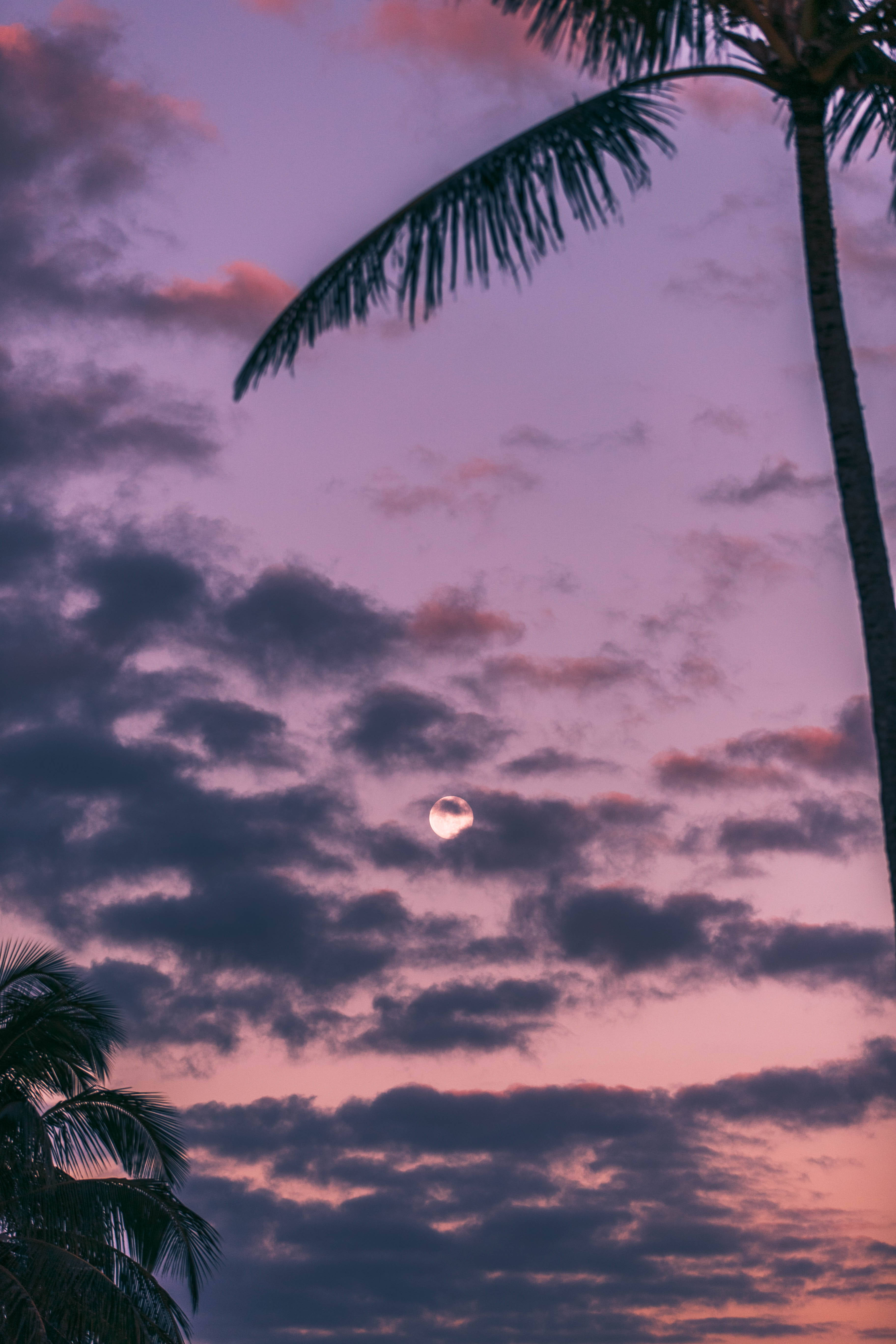 Dark Purple iPhone, crescent moon, pink and purple clouds, 5K Phone Wallpaper