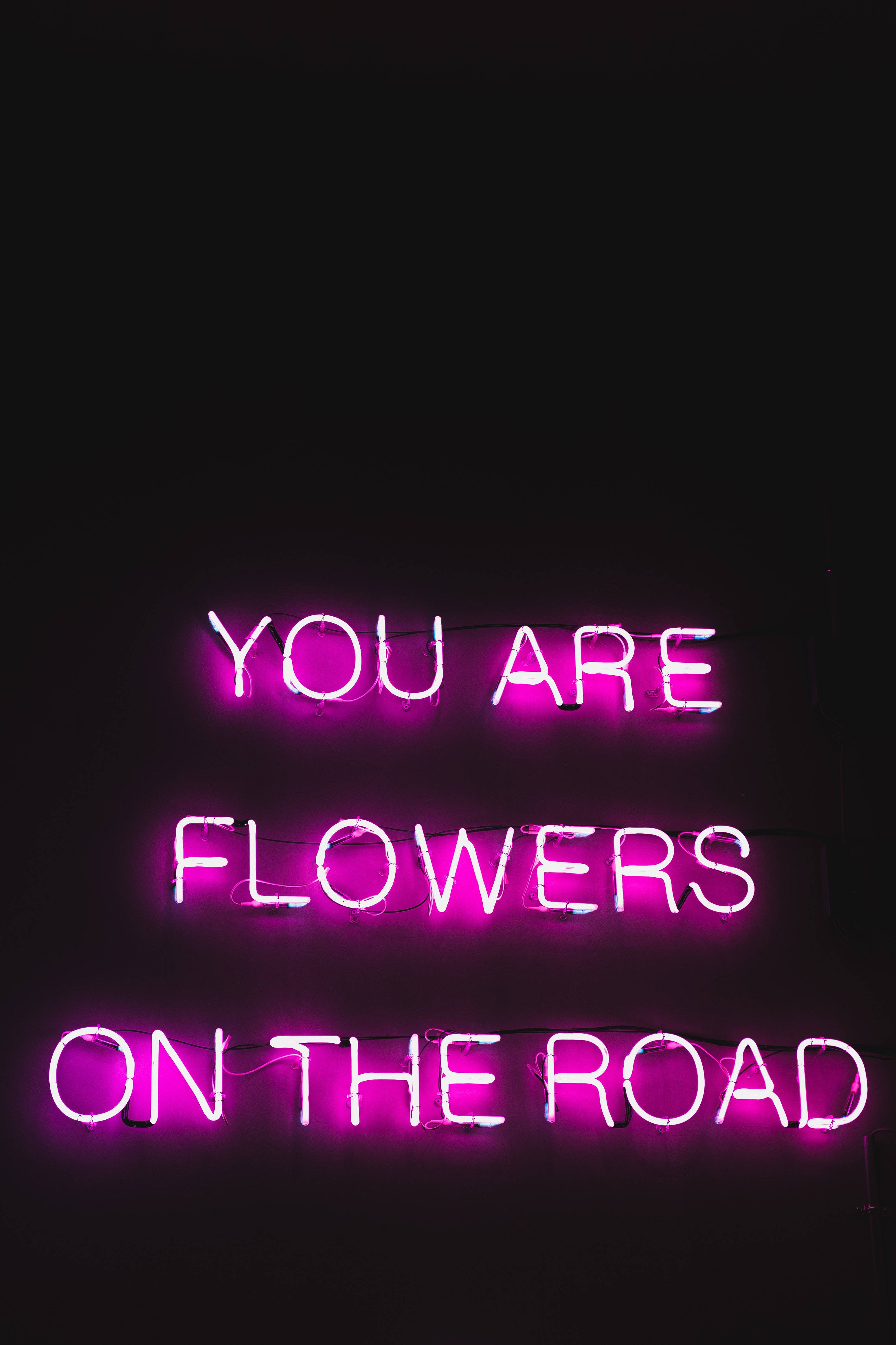 Dark Purple iPhone, flowers on the road, glowing pink neon sign, 4K Phone Wallpaper