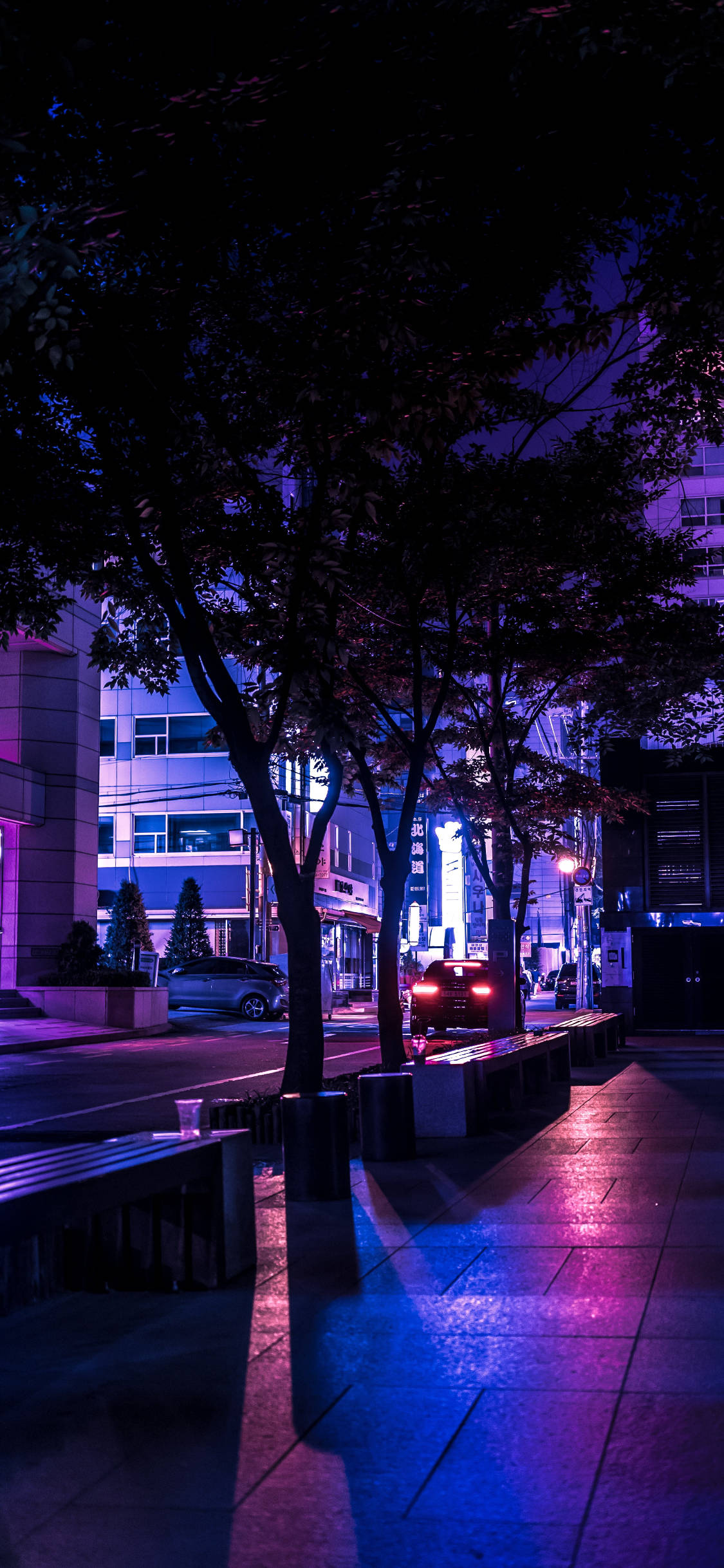 Dark Purple Night Street, neon-drenched urban sidewalk, wet pavement, Full HD Phone Wallpaper