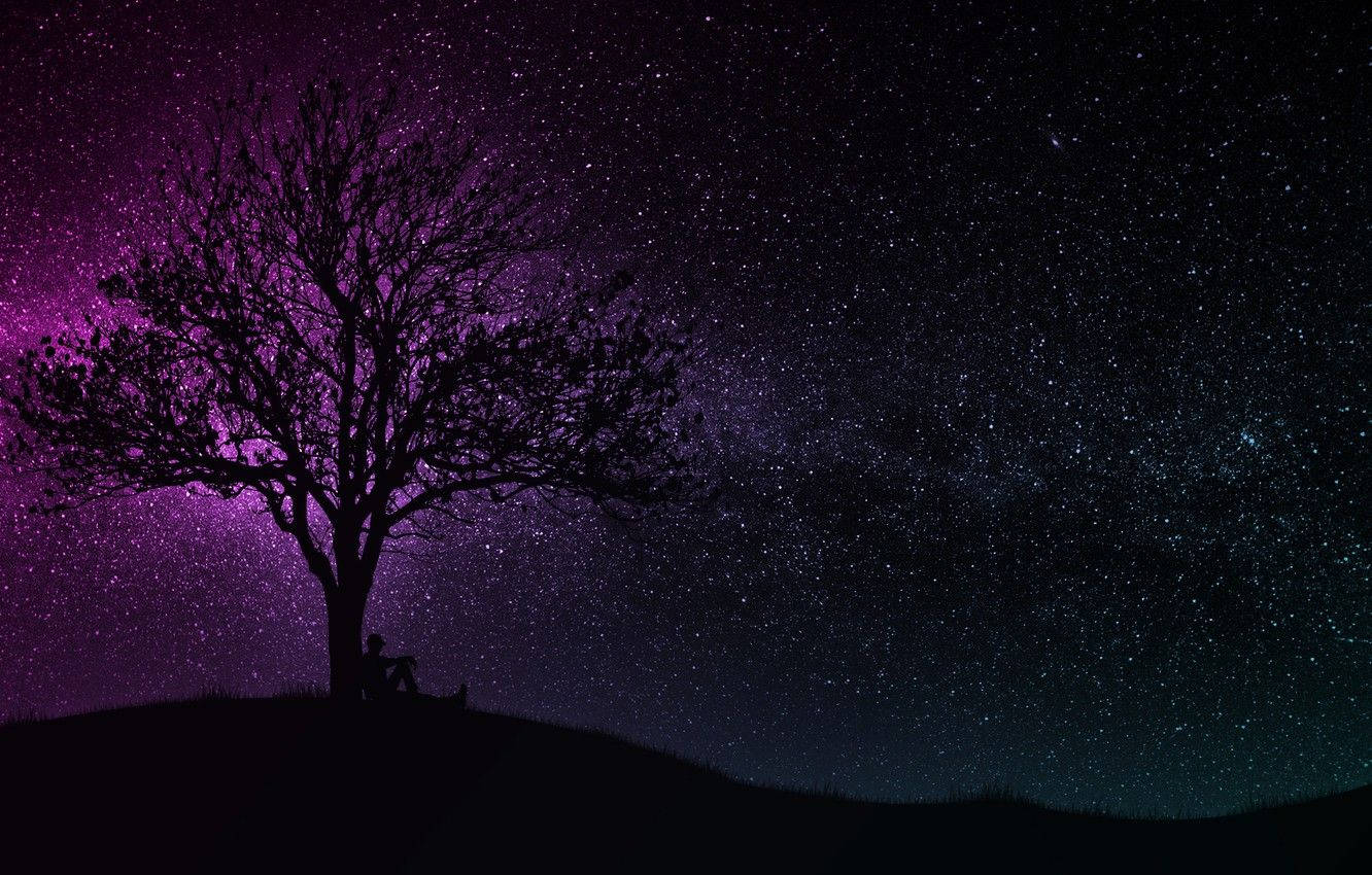 Dark Purple Blue Sparkling Sky, vibrant purple and blue starry night sky, silhouette of a lone person, HD Desktop Wallpaper
