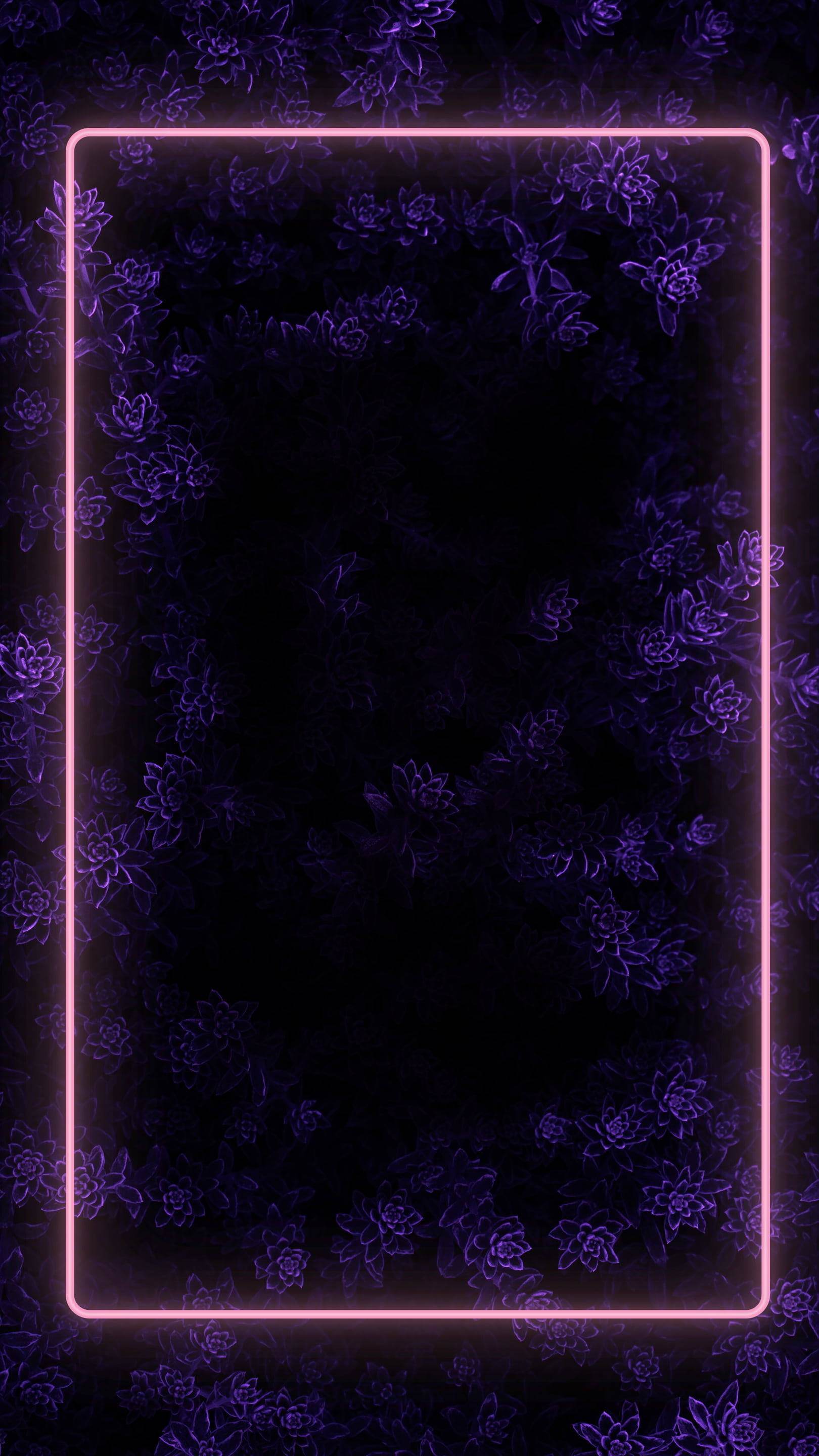 floral dark purple with border, glowing pink neon rectangle, dark background, 2K Phone Wallpaper