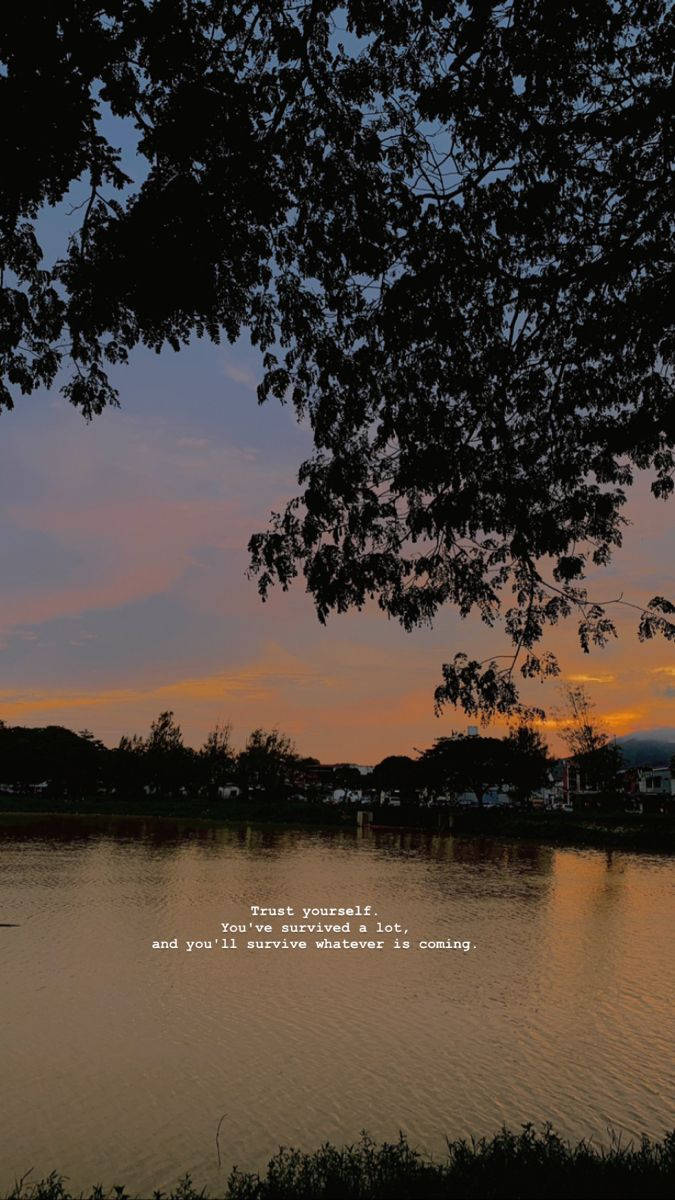 Dark Lake Scenery, silhouetted tree branches, tranquil lake, SD Phone Wallpaper