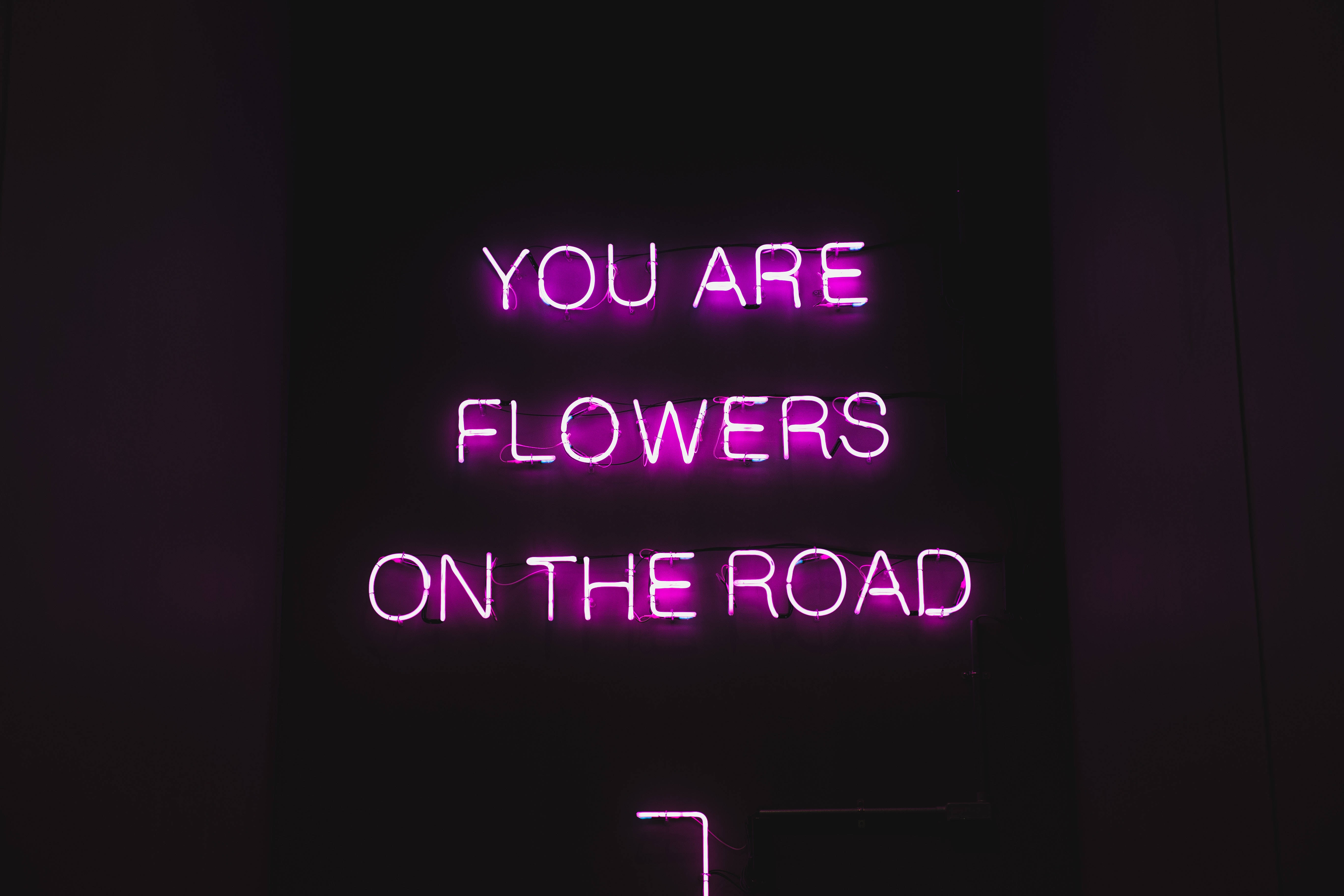 glowing purple neon sign, dark wall, night, 5K Desktop Wallpaper