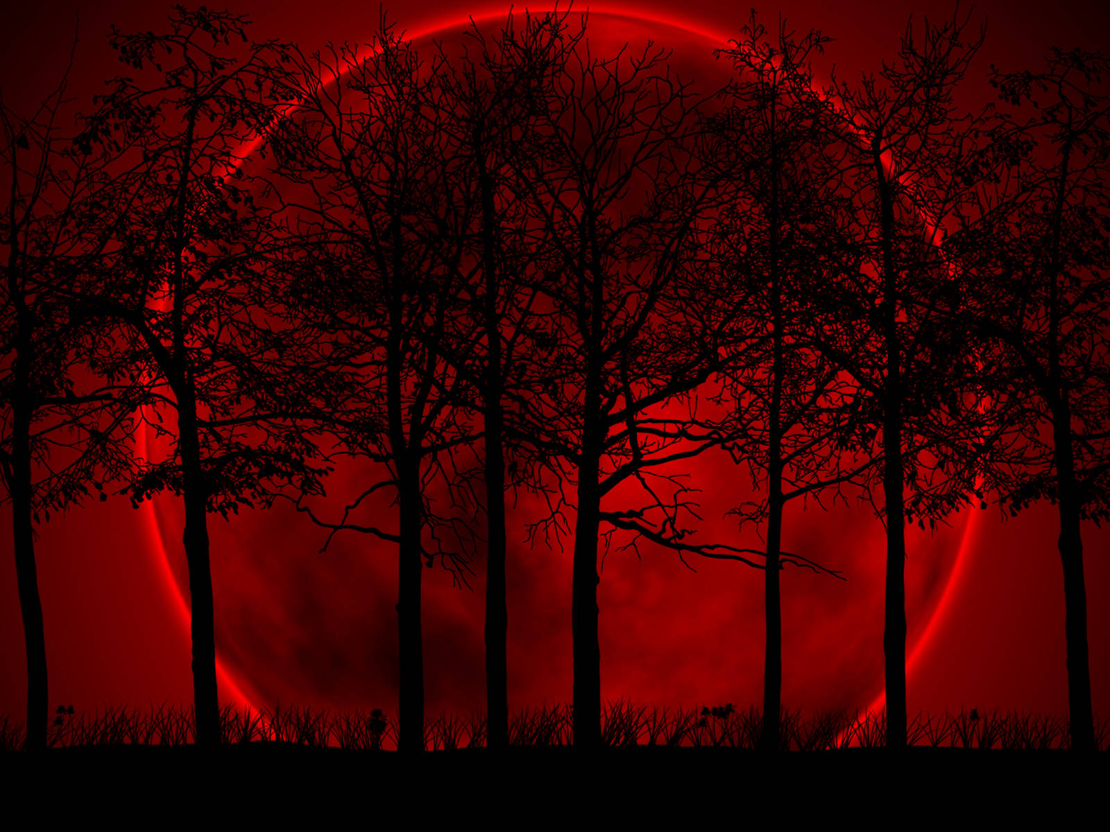 Dark Red, glowing red eclipse, silhouetted trees, HD Desktop Wallpaper