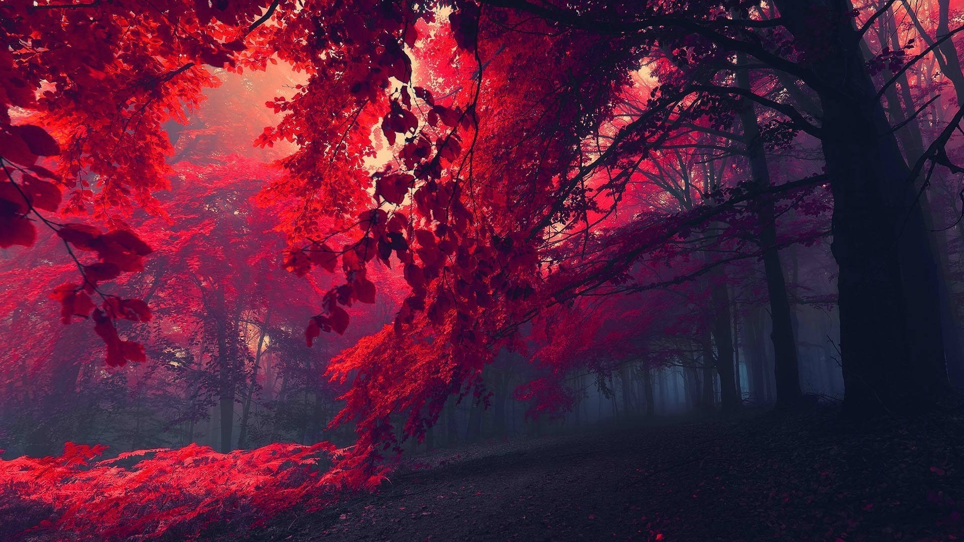 Dark Red, crimson leaves, surreal pink sky, Full HD Desktop Wallpaper