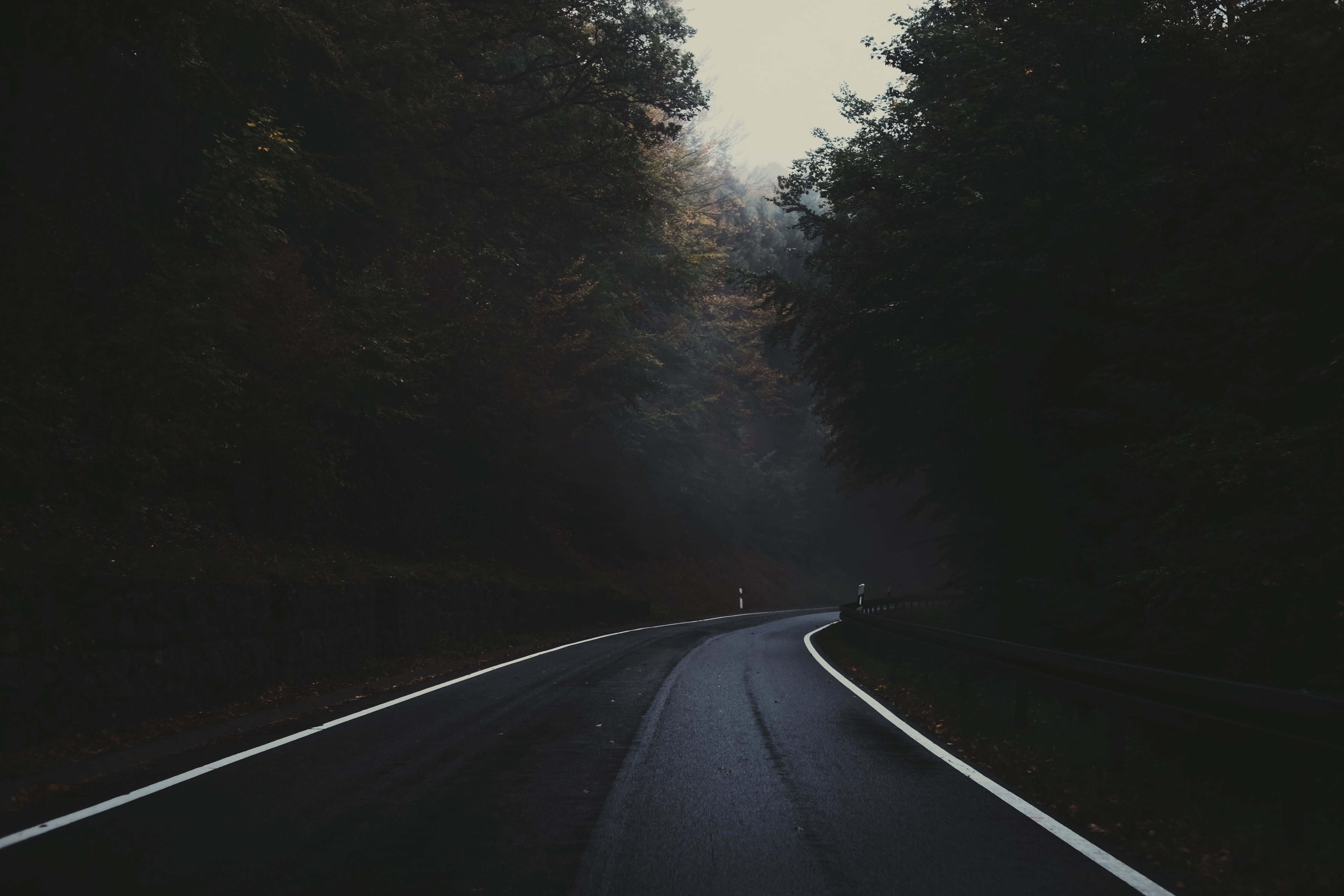 Dark Road, asphalt road, misty forest, 4K Desktop Wallpaper