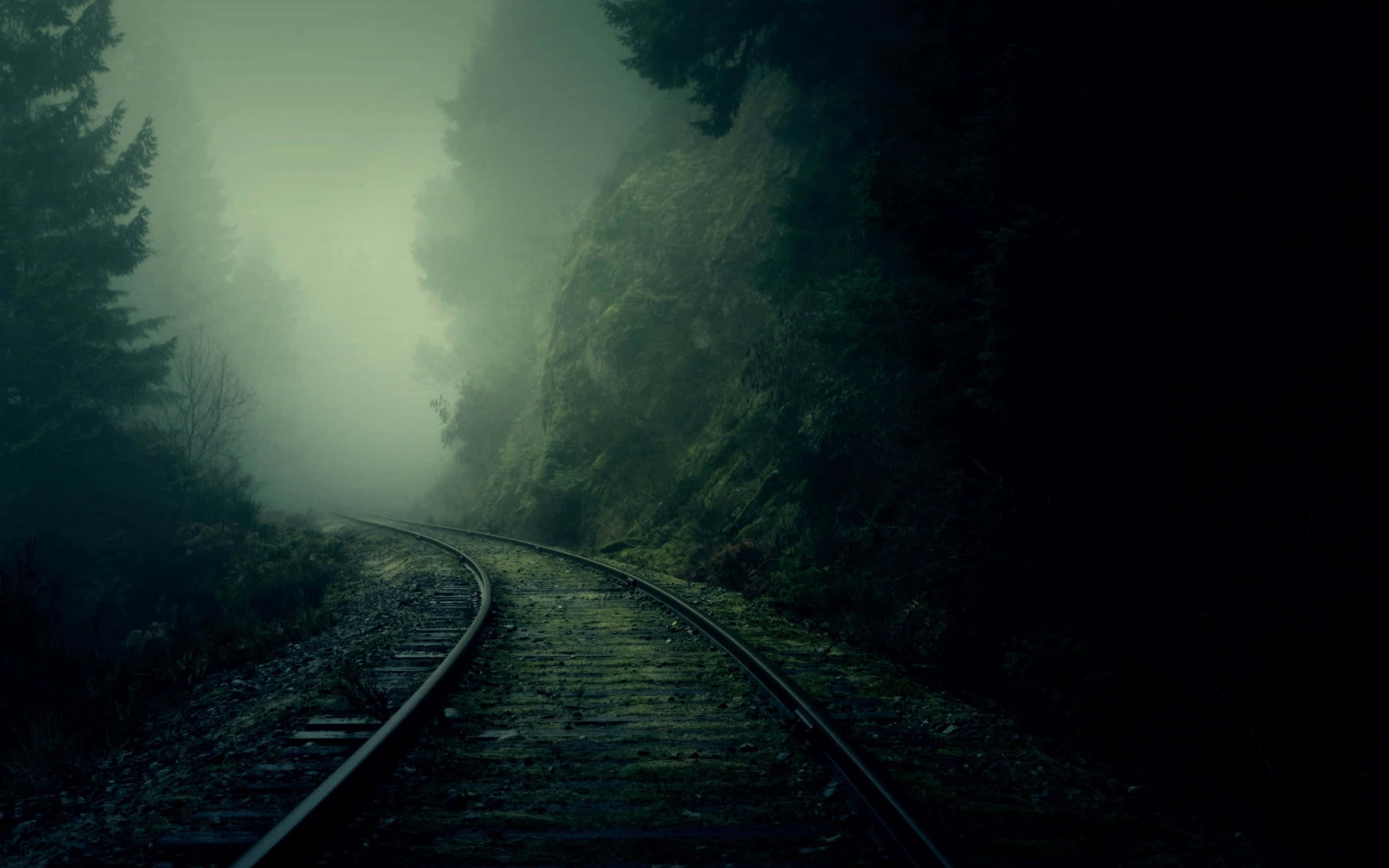 Dark Road, railway track, dark forest, 2K Desktop Wallpaper