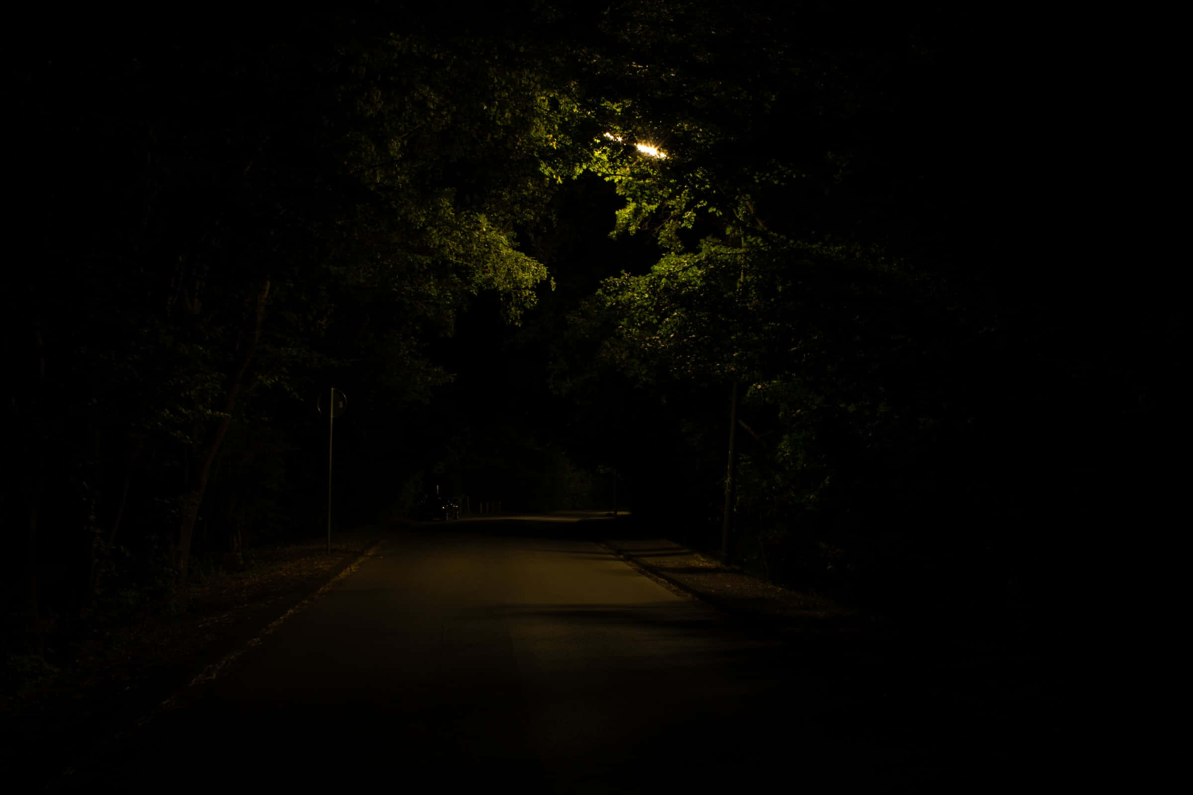 Dark Road, winding road, streetlamp, Full HD Desktop Wallpaper