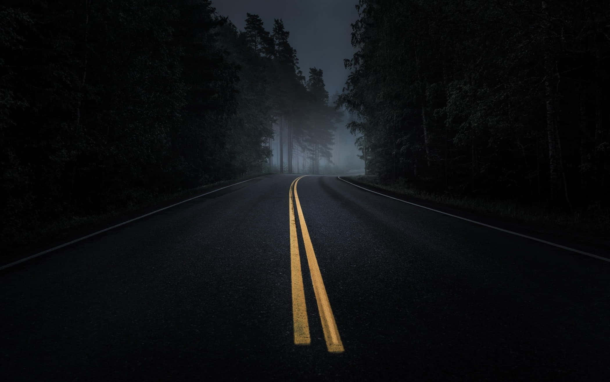 Dark Road, twilight forest, misty forest, Full HD Desktop Wallpaper