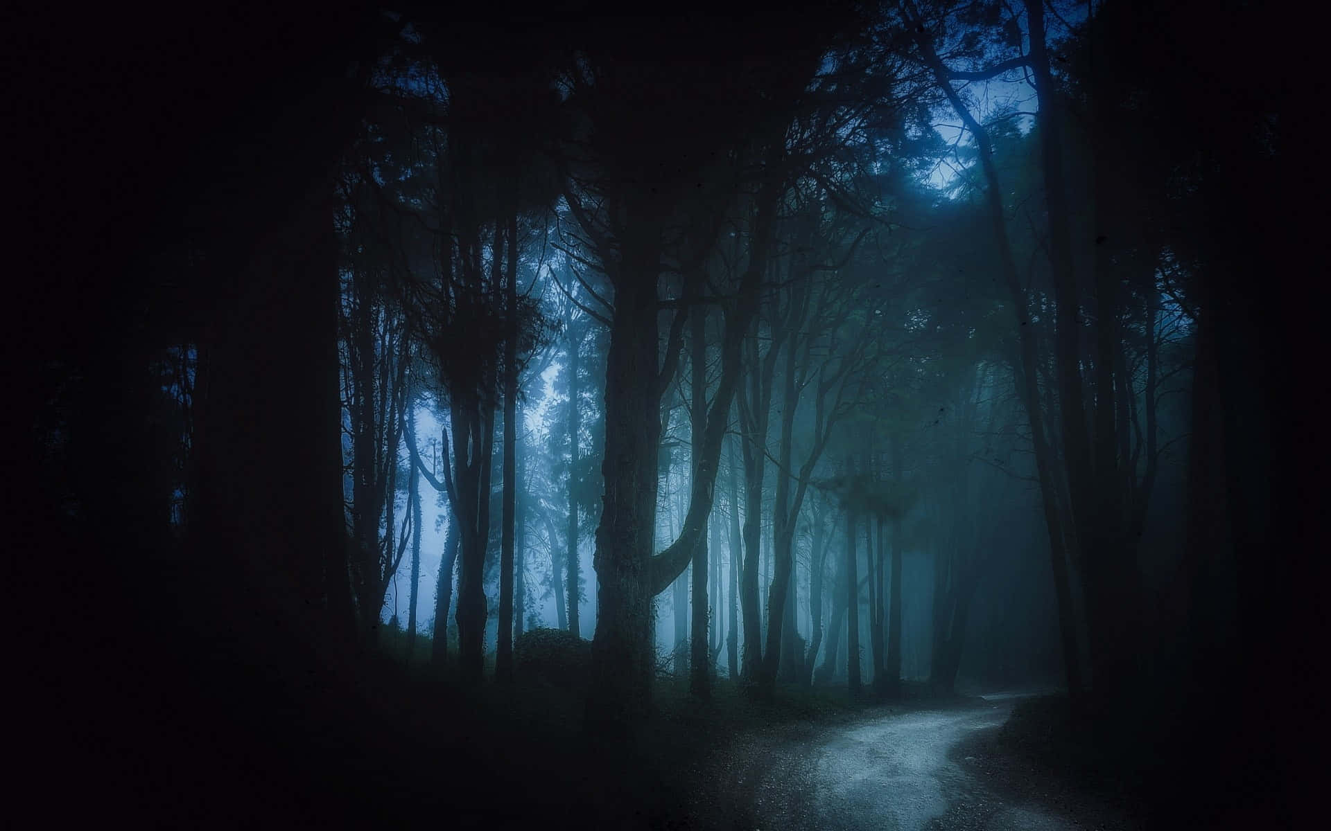 Dark Road, moonlit forest, misty forest path, Full HD Desktop Wallpaper