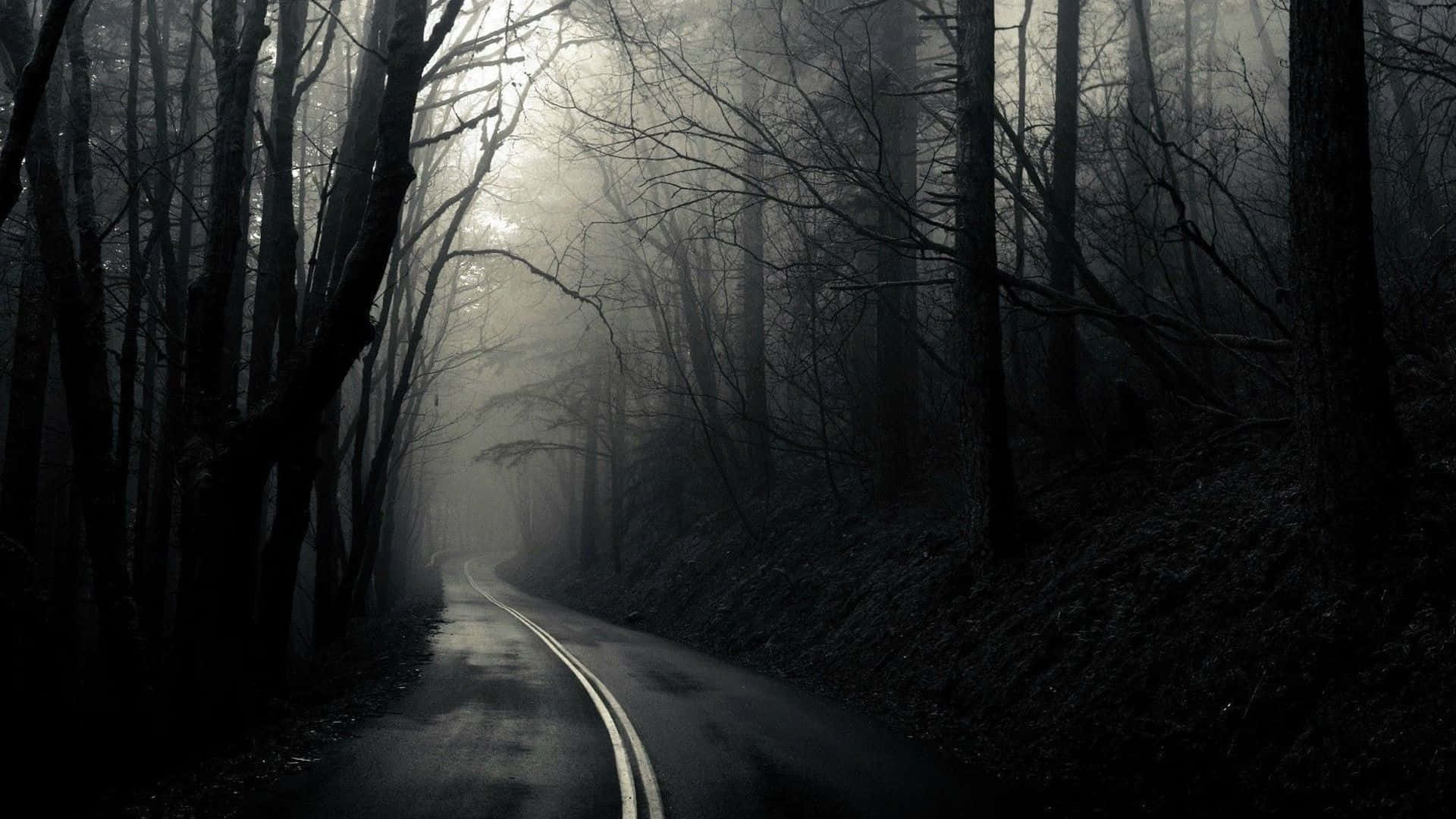 Dark Road, mist, forest road, Full HD Desktop Wallpaper