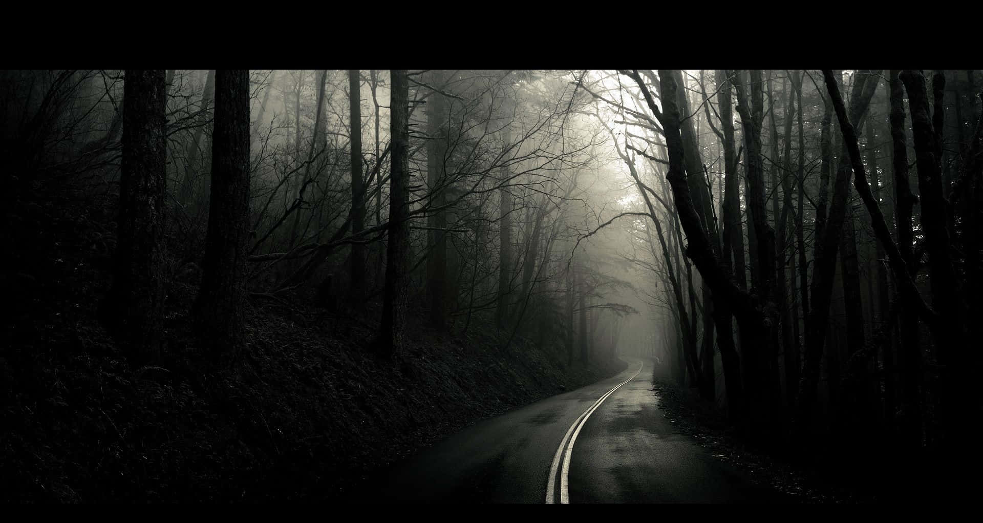 Dark Road, misty forest road, bare trees, Full HD Desktop Wallpaper