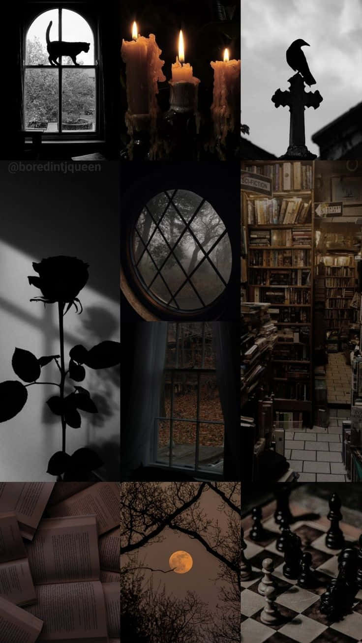 Dark Romance Aesthetic, cat by a window, candles, HD Phone Wallpaper