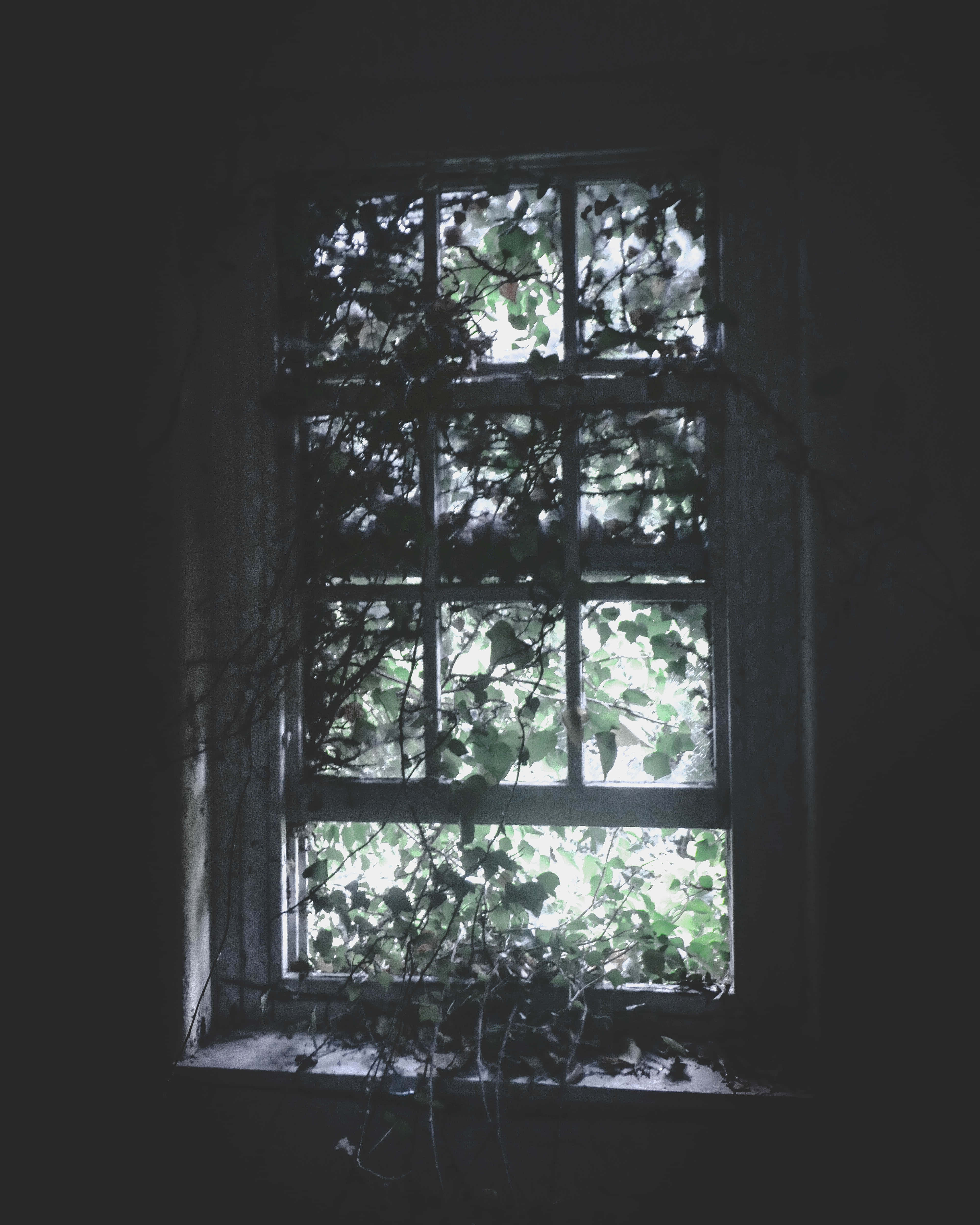 Dark Room 4000 x 5000, abandoned room, weathered window, 4K Phone Wallpaper