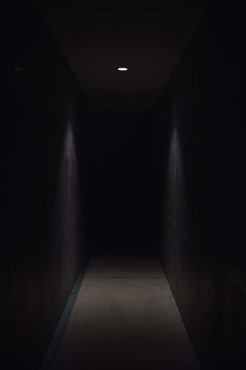 abandoned forest, narrow concrete hallway, overhead light, HD Phone Wallpaper