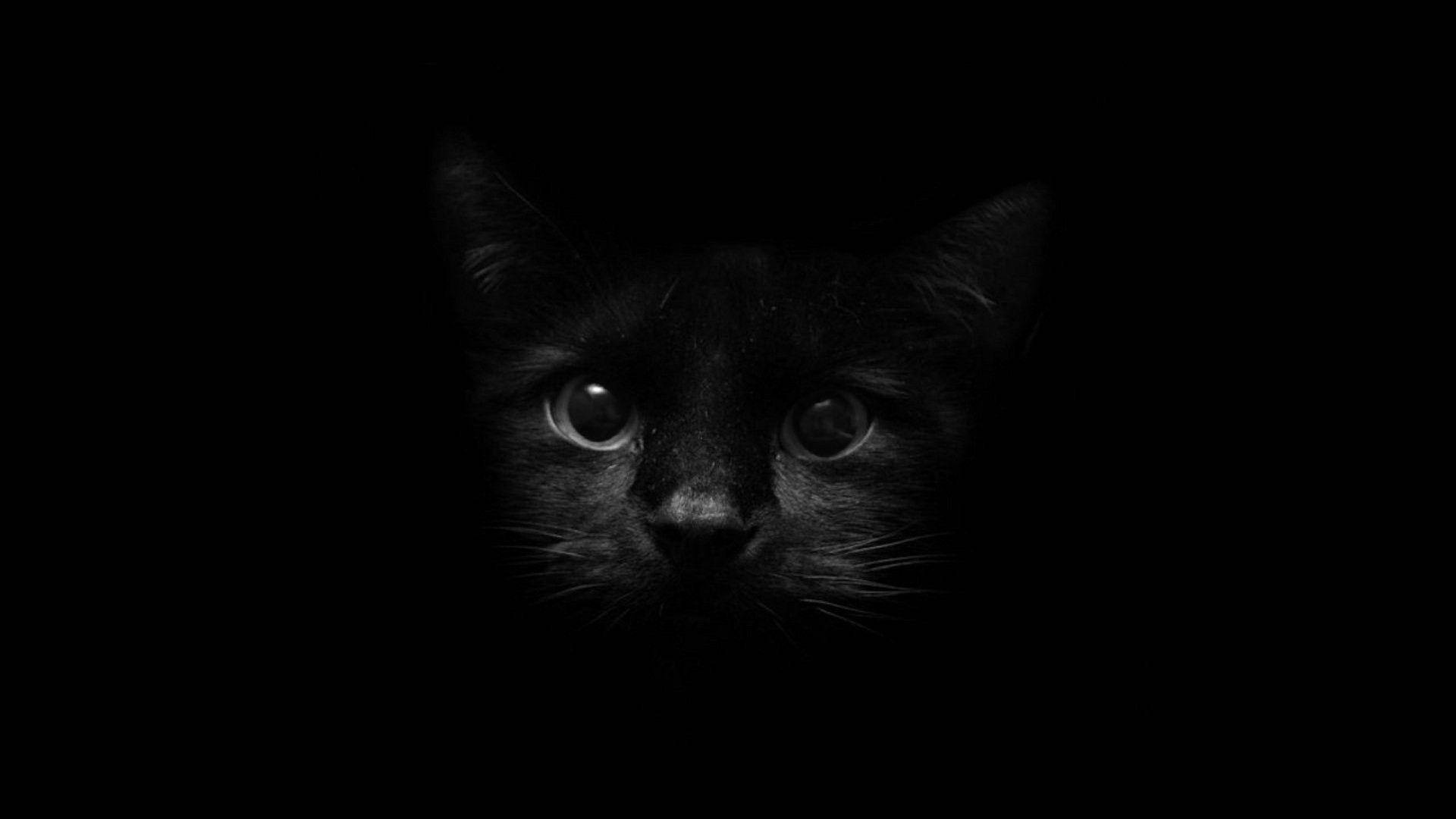 black cat, glowing eyes, dark screen, Full HD Desktop Wallpaper