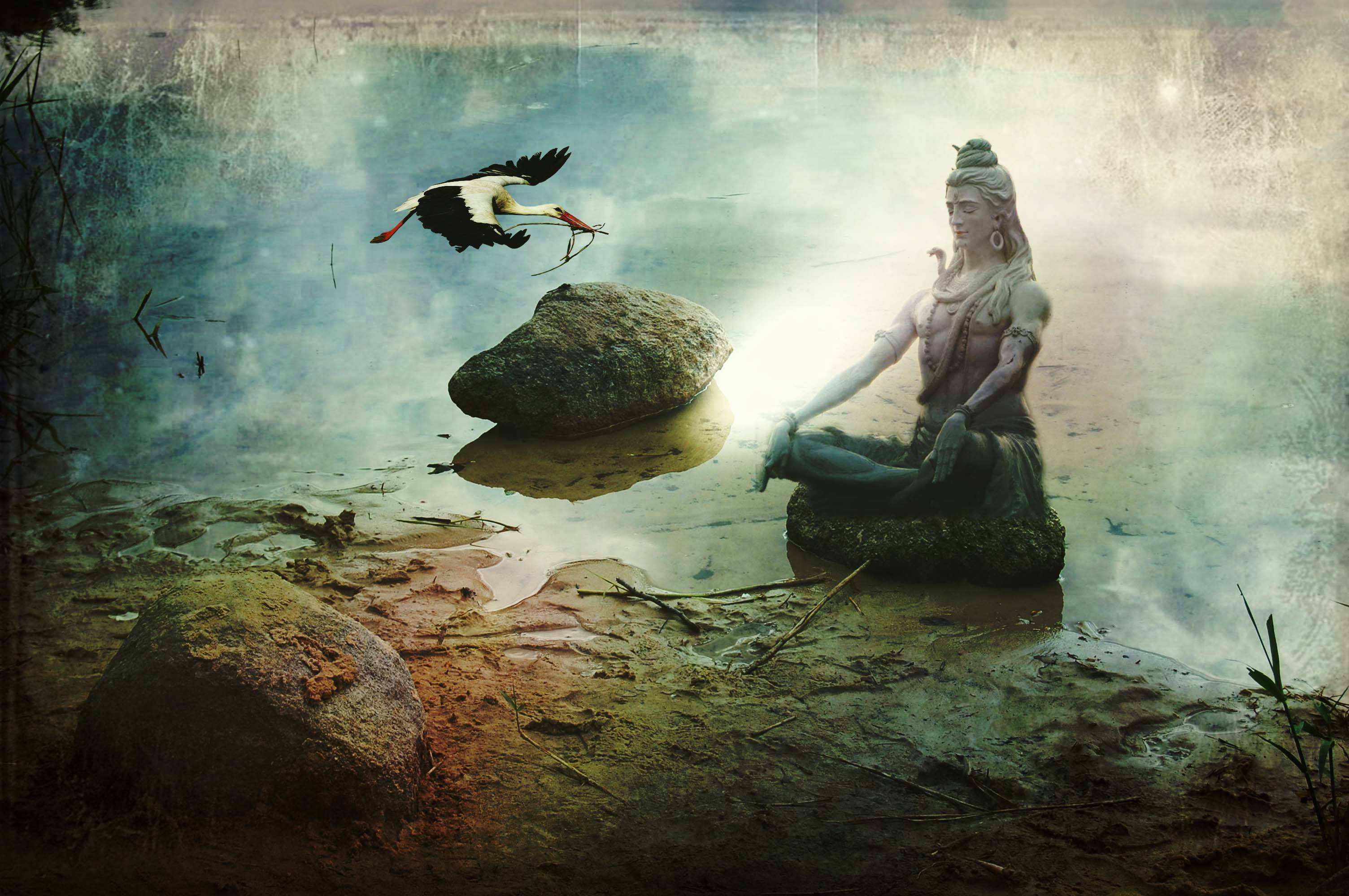 Dark Shiva, stork, misty water's edge, 2K Desktop Wallpaper
