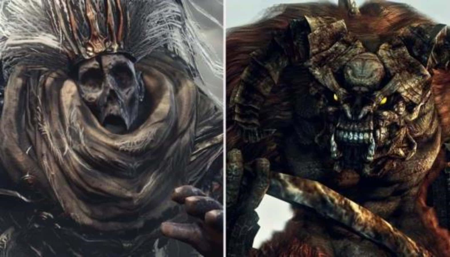 Dark Souls Bosses, skull face, tattered cloak, HD Desktop Wallpaper