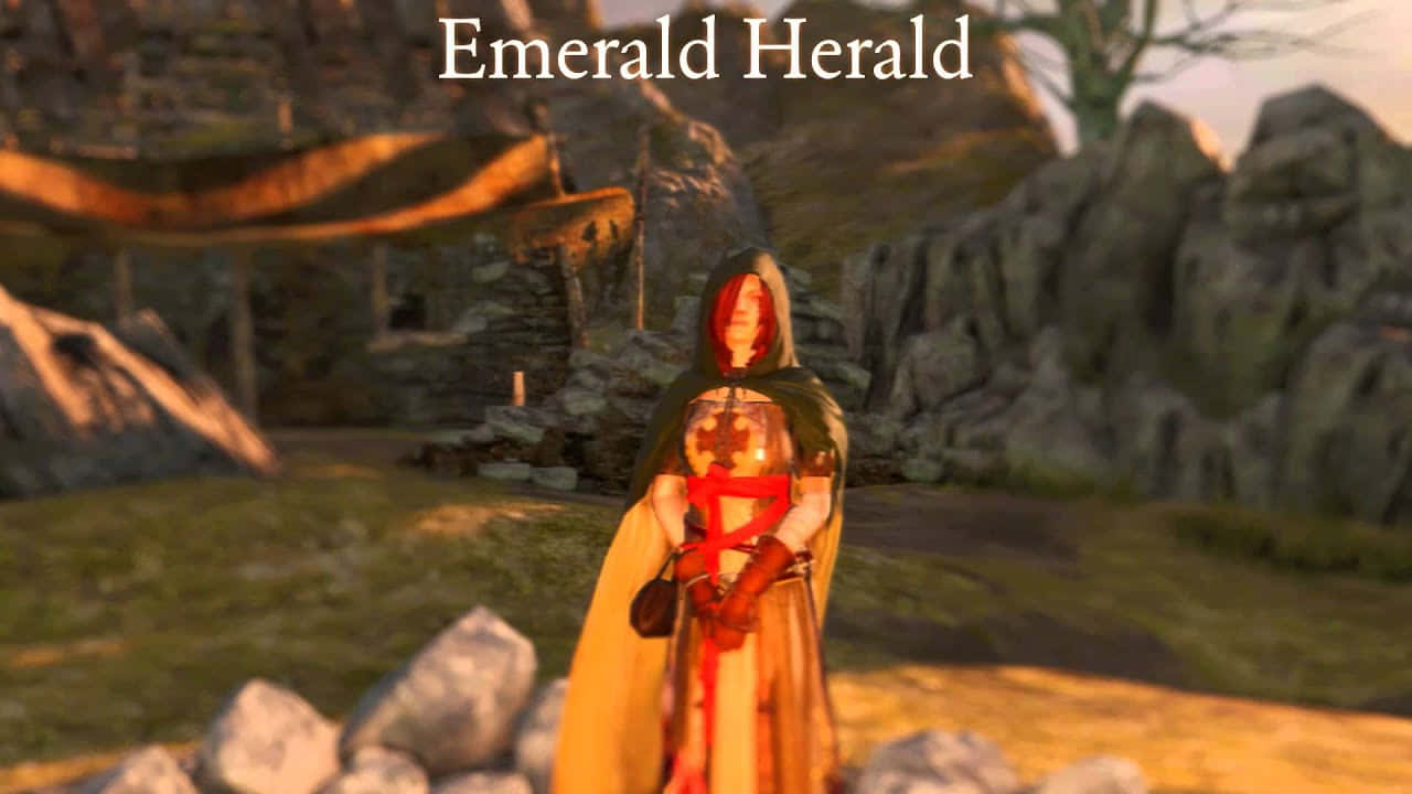 Dark Souls, Emerald Herald, emerald cloak, HD Desktop Wallpaper