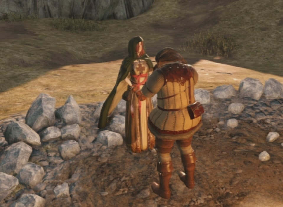 Dark Souls Emerald Herald, green cloak, brown armor, SD Desktop Wallpaper