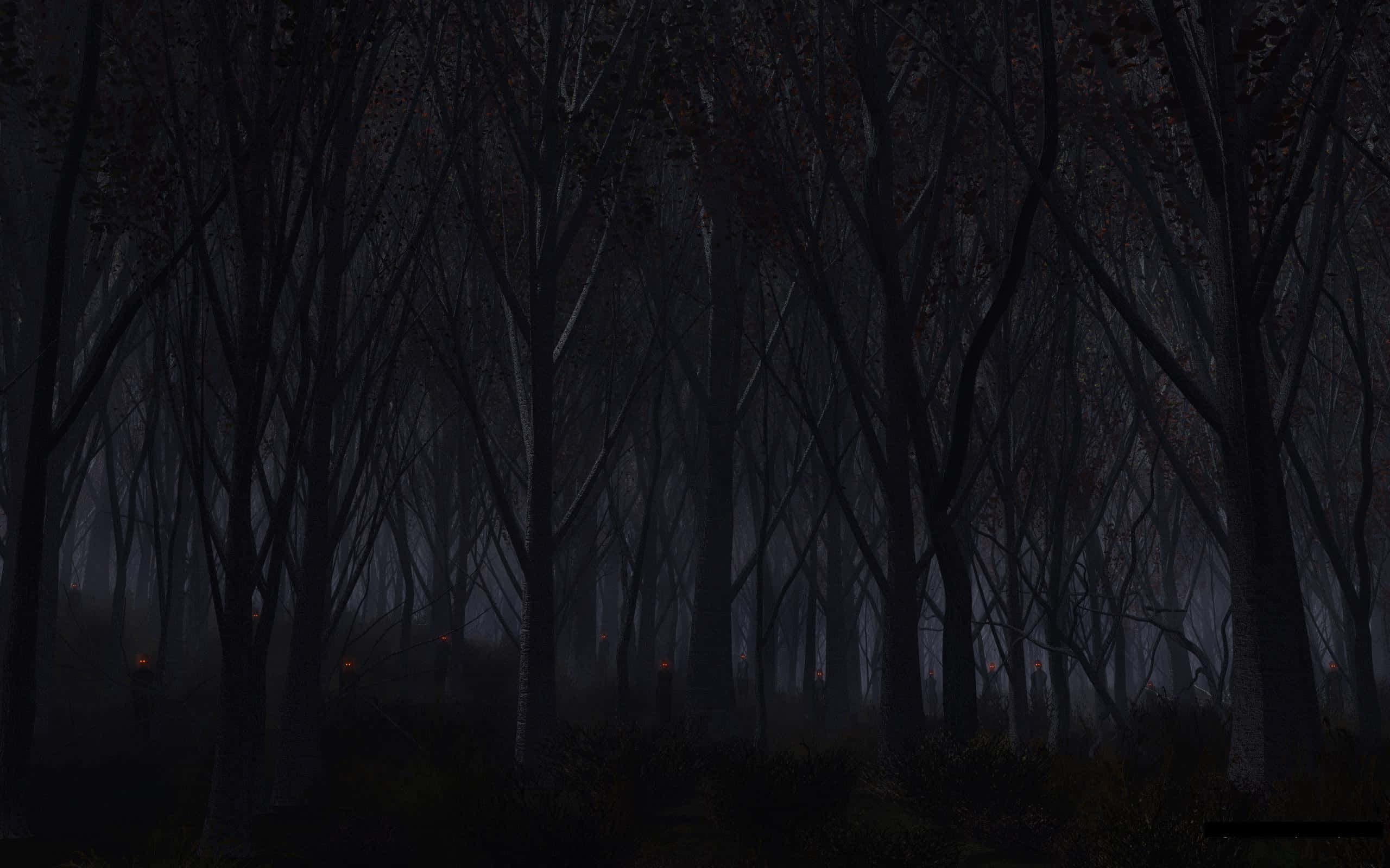 Dark Spirit, dark misty forest, night, 2K Desktop Wallpaper