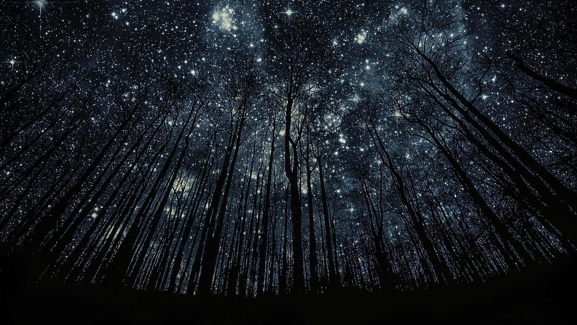 Dark Starry Night, twinkling stars, deep blue night sky, Full HD Desktop Wallpaper