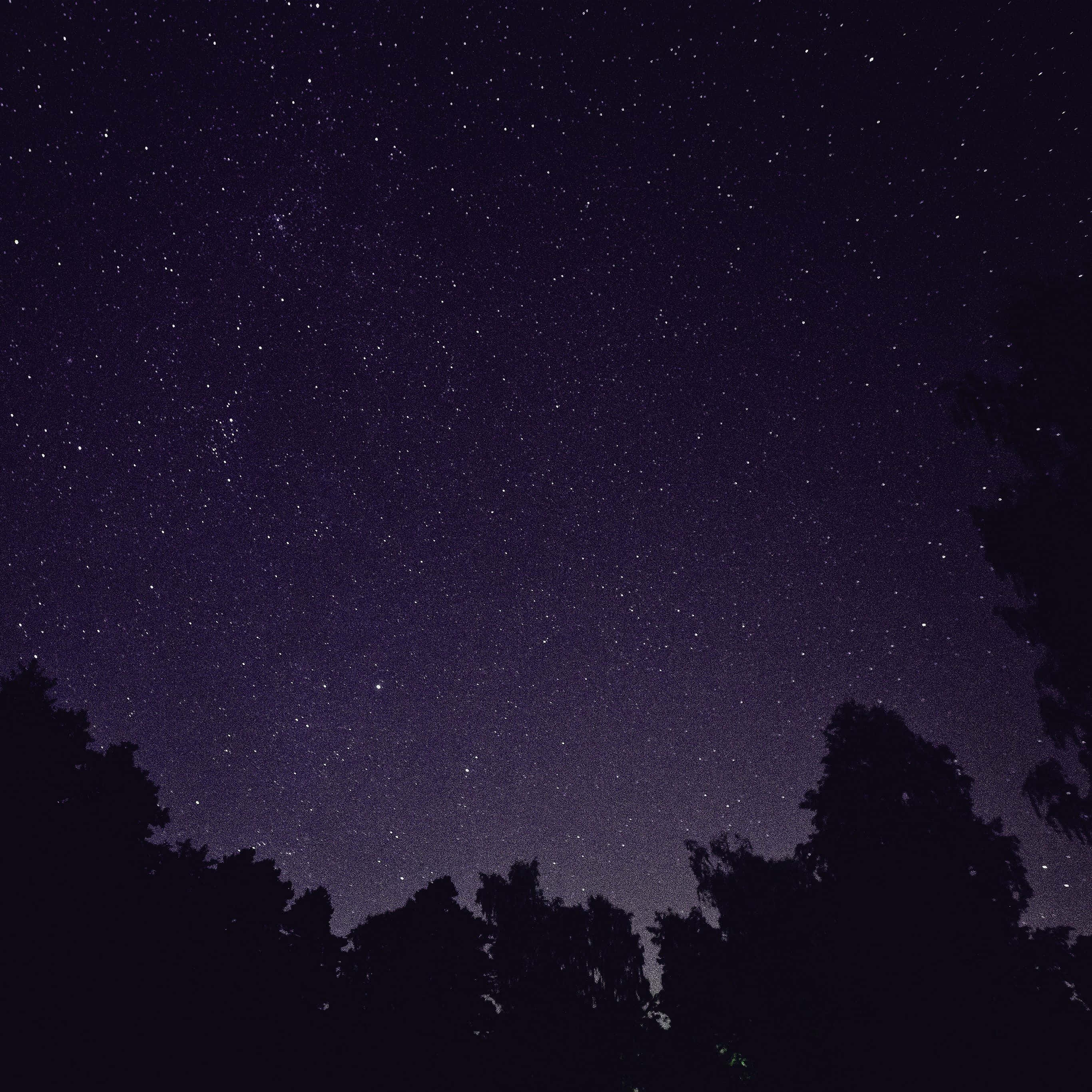 Dark Starry Night, starry night sky, twinkling stars, 2K Desktop Wallpaper
