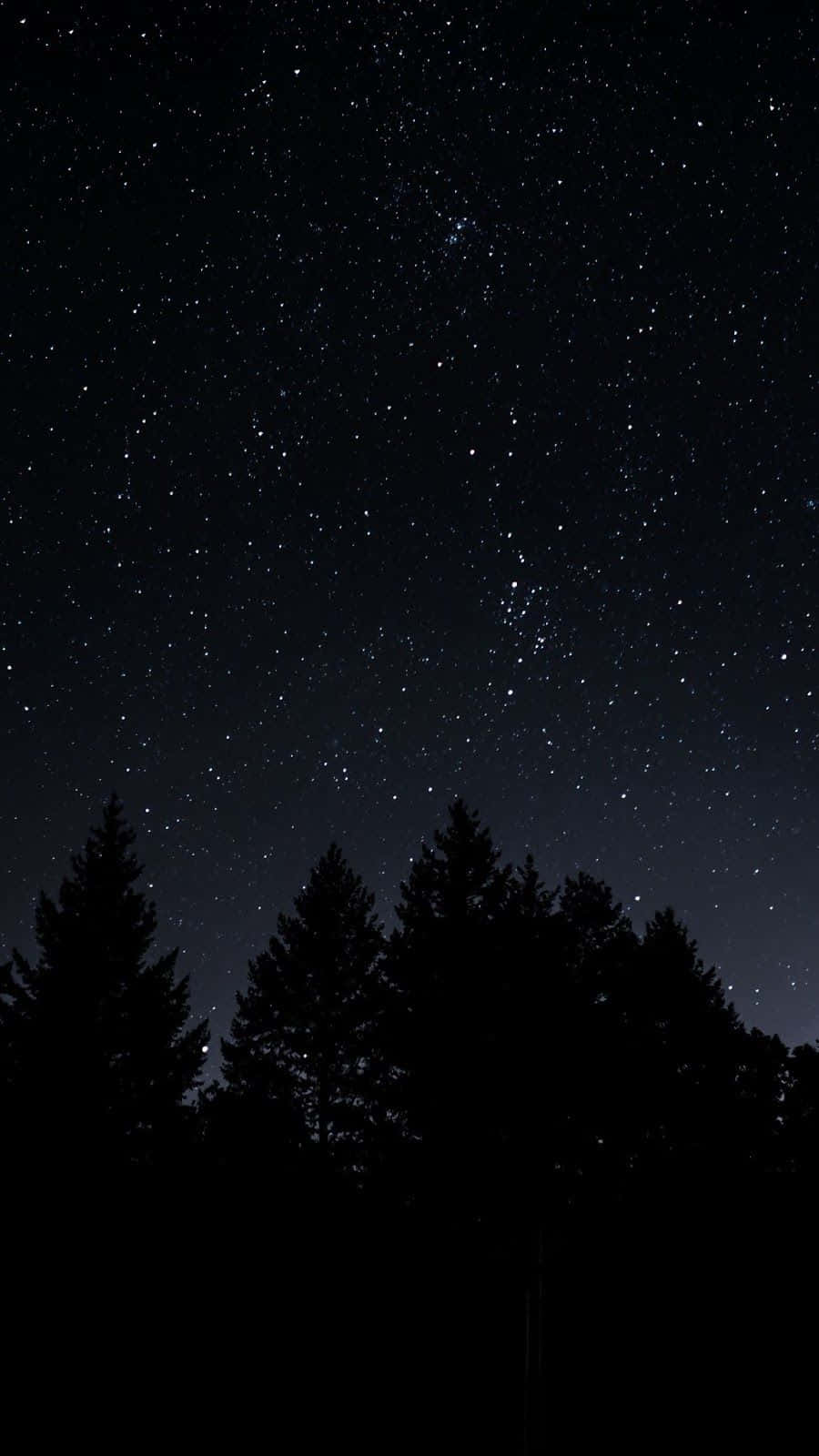 Dark Starry Night, starry night sky, twinkling stars, HD Phone Wallpaper