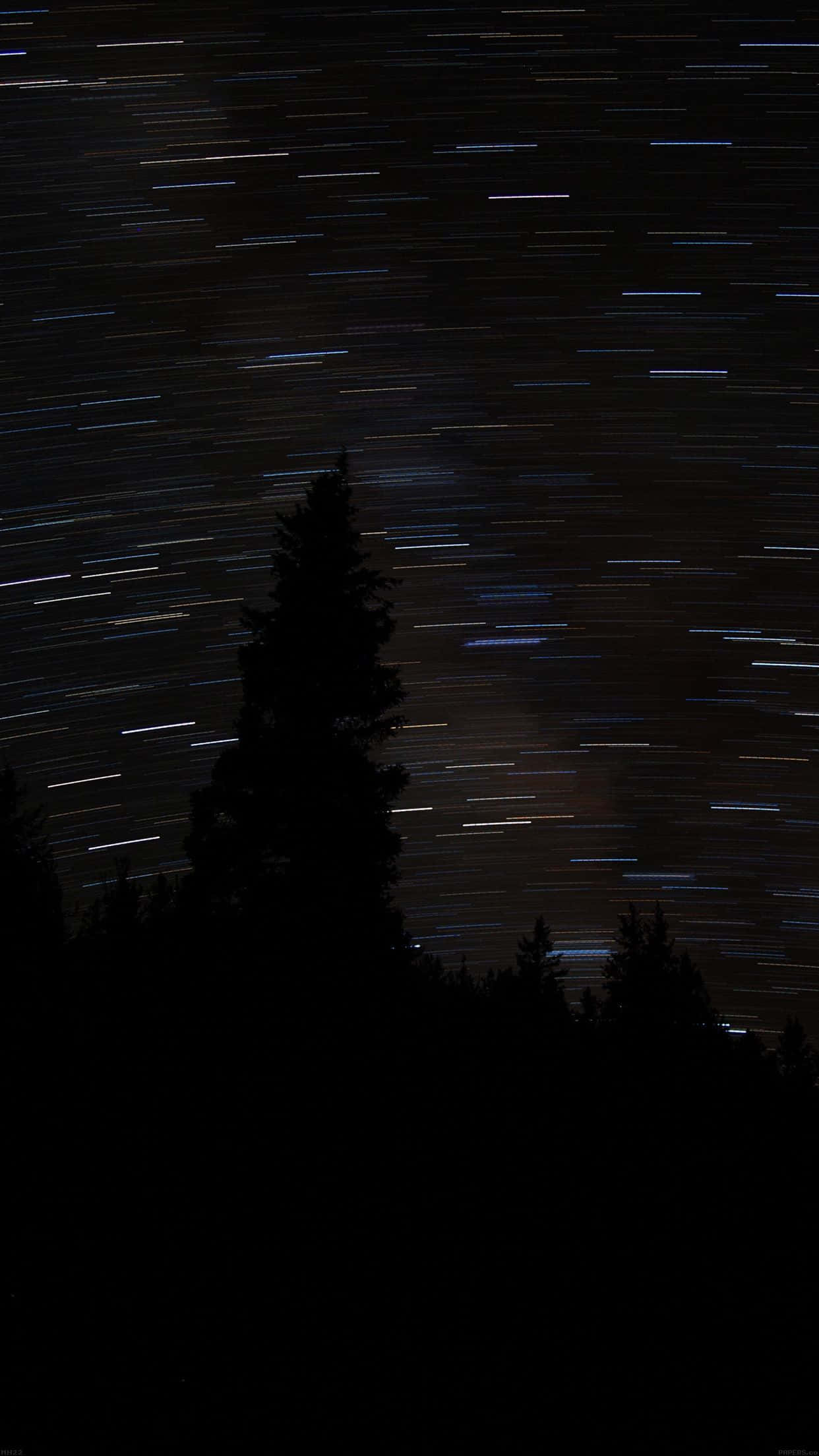 Dark Starry Night, pine trees, dark sky, Full HD Phone Wallpaper