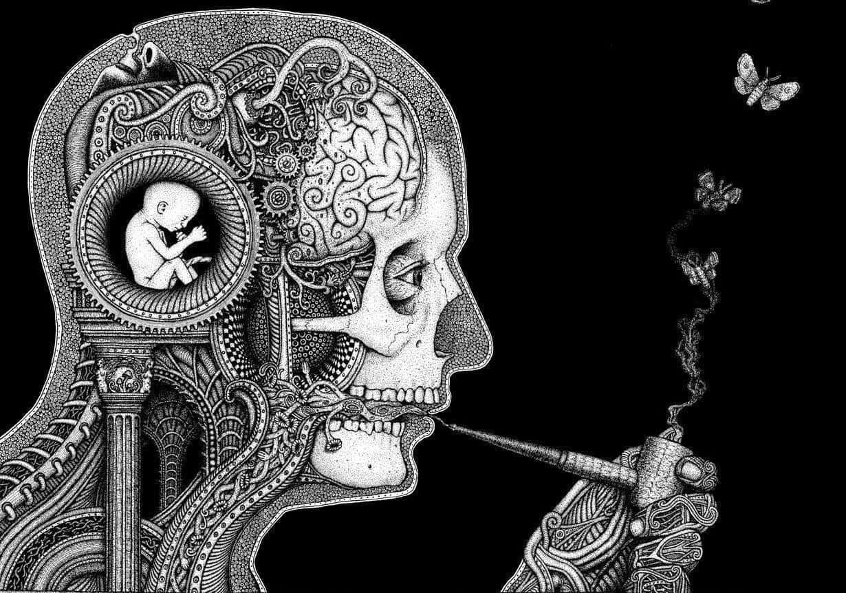 skull profile, intricate inner mechanisms, fetus in a circular chamber, SD Desktop Wallpaper