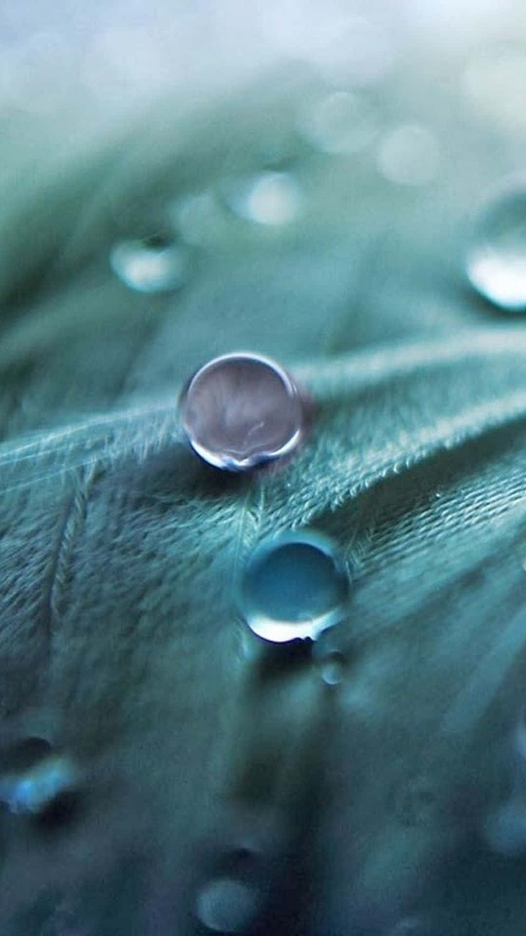 Dark Teal, water droplets, textured green leaf, Full HD Phone Wallpaper