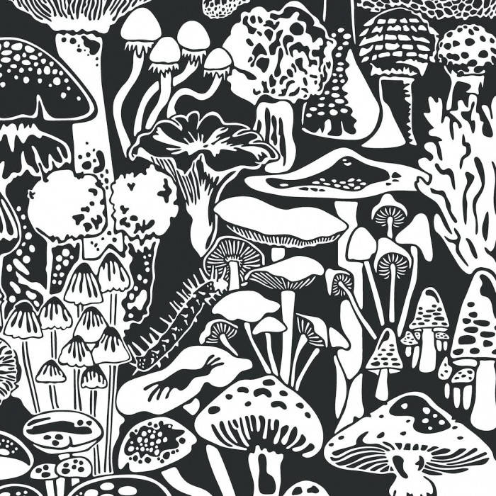 Dark Trippy Mushrooms, black and white pattern, stylized mushrooms, SD Desktop Wallpaper