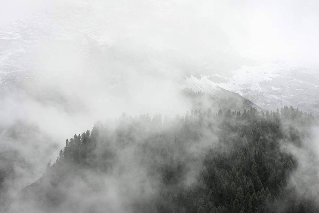 foggy forest, snow-dusted mountain ridge, dense evergreen forest, SD Desktop Wallpaper