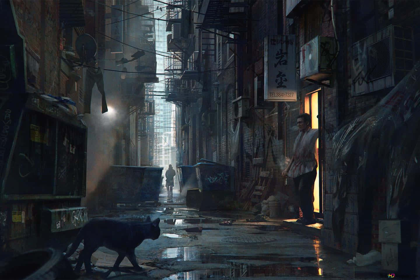 dark alleyway, rain-slicked alley, man in a doorway, HD Desktop Wallpaper