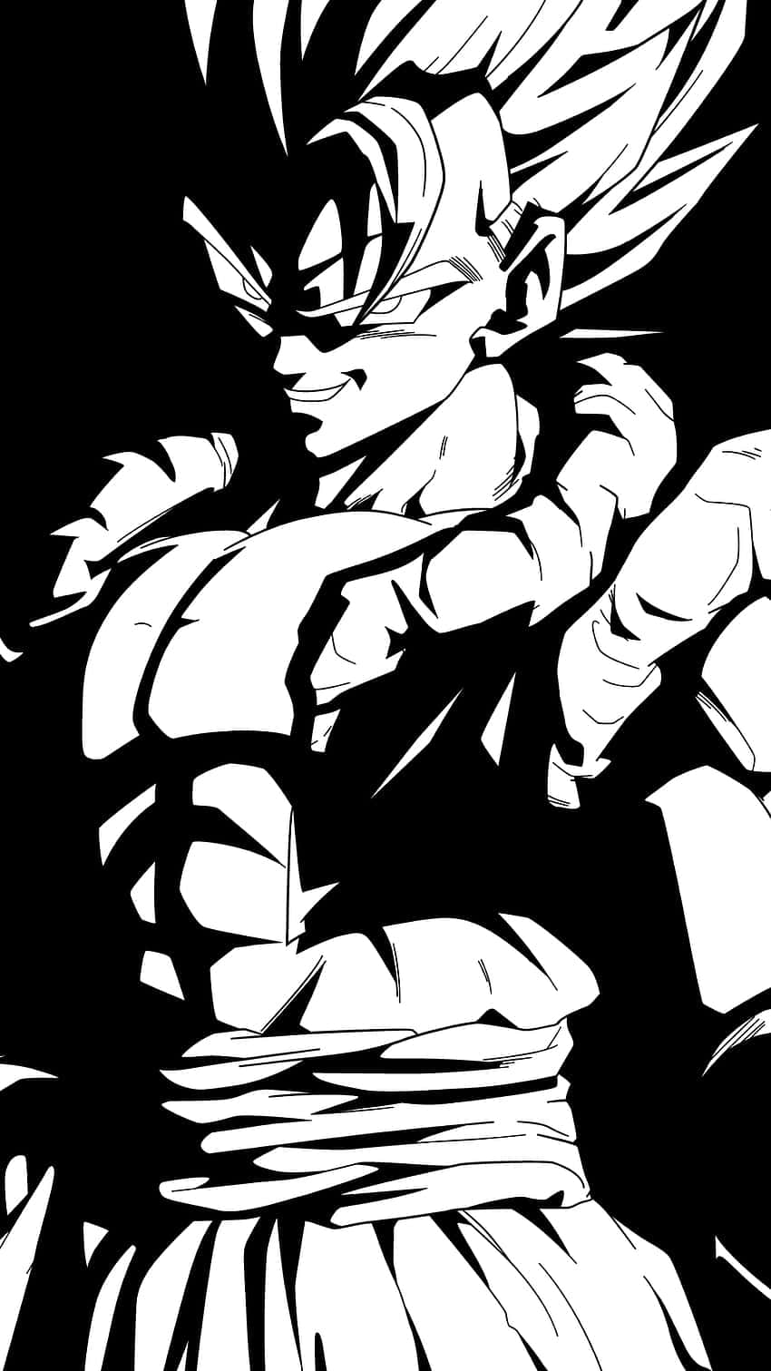 Vegeta, black and white, spiky hair, HD Phone Wallpaper
