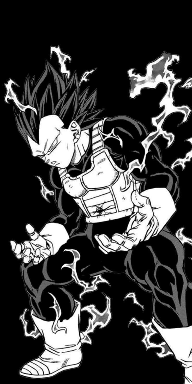 Vegeta, black and white, spiky hair, HD Phone Wallpaper